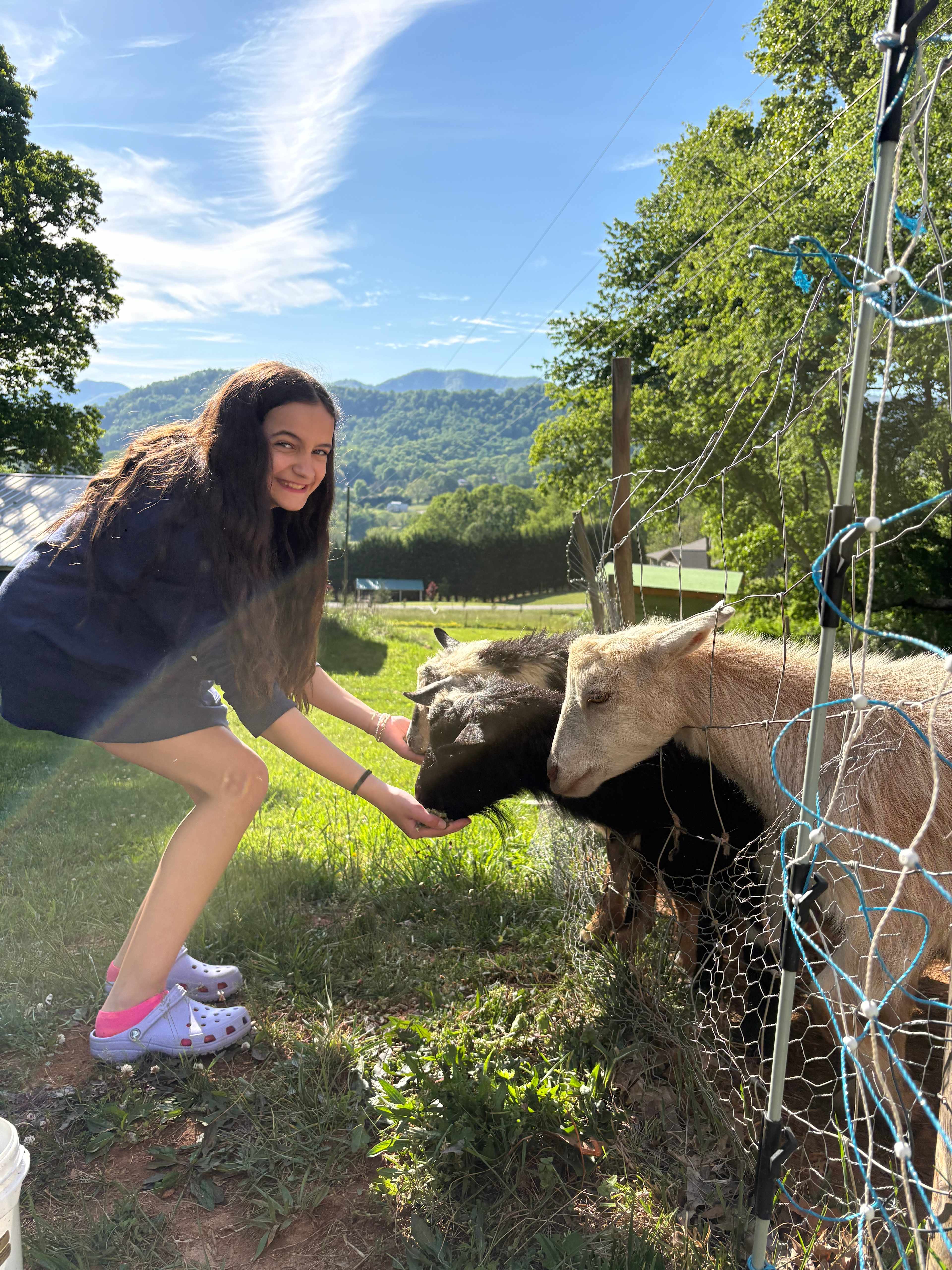 We loved all the goat interactions and them following us along the gate line. Can’t wait to visit again! 