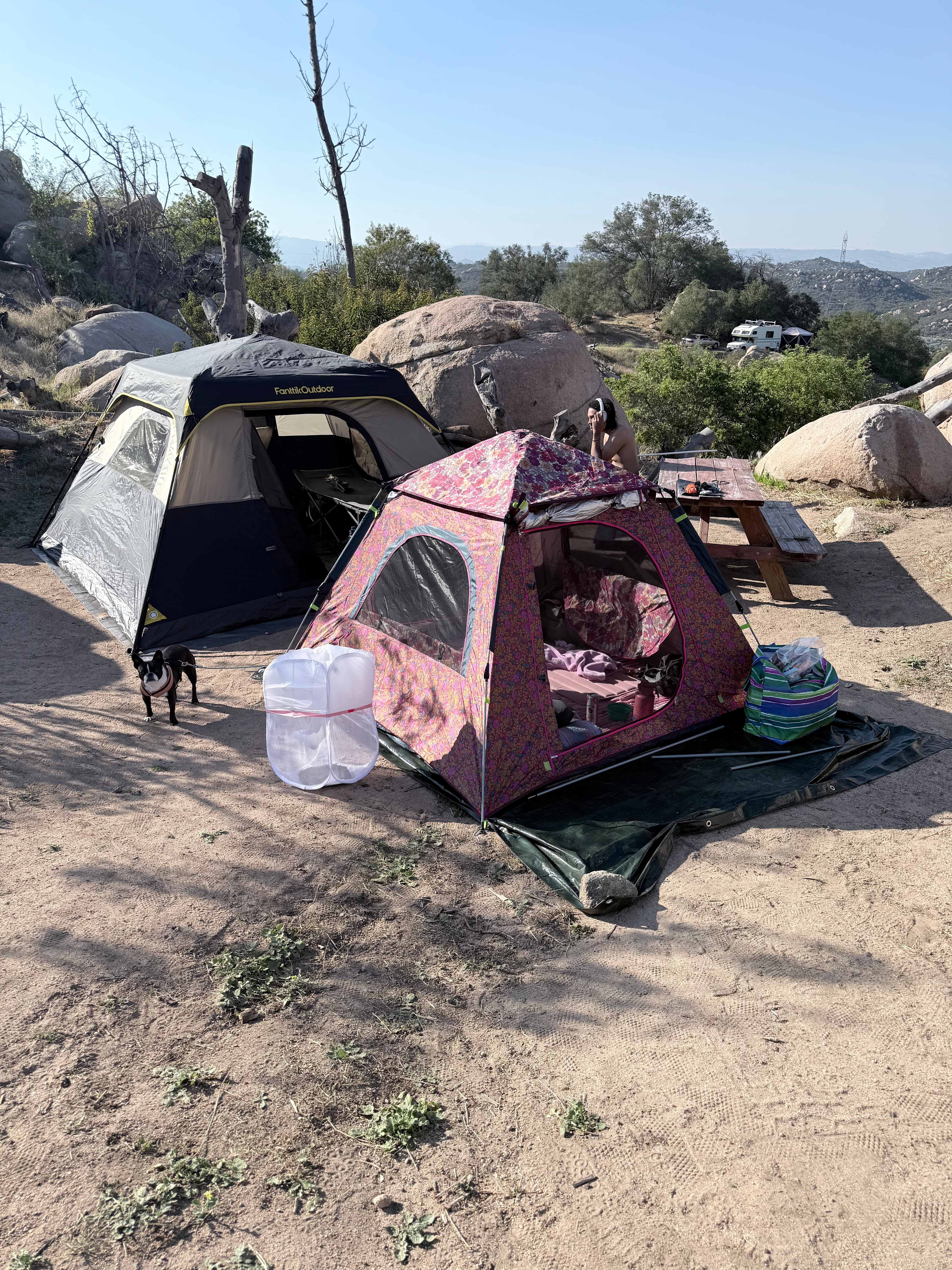 Our set up