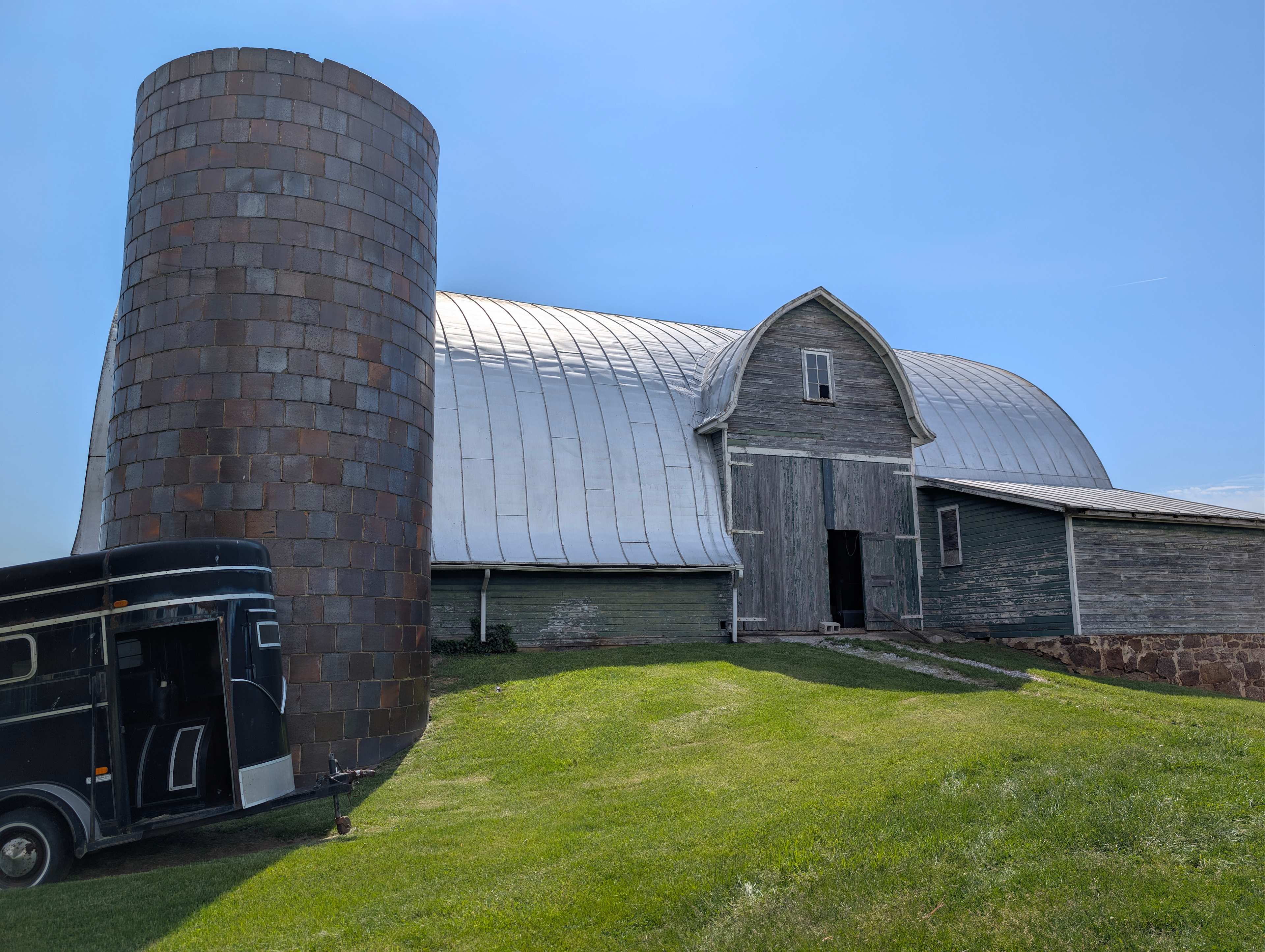 So many birds make this barn their home
