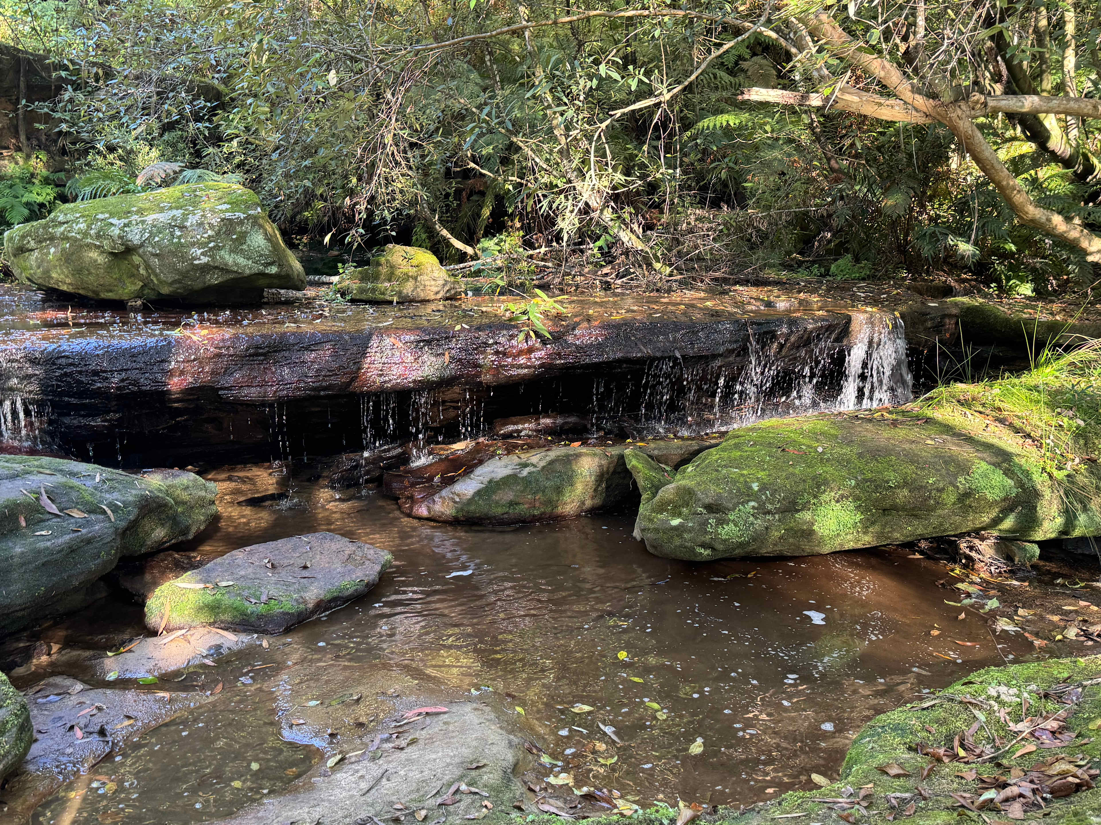 Fern Valley Ranch