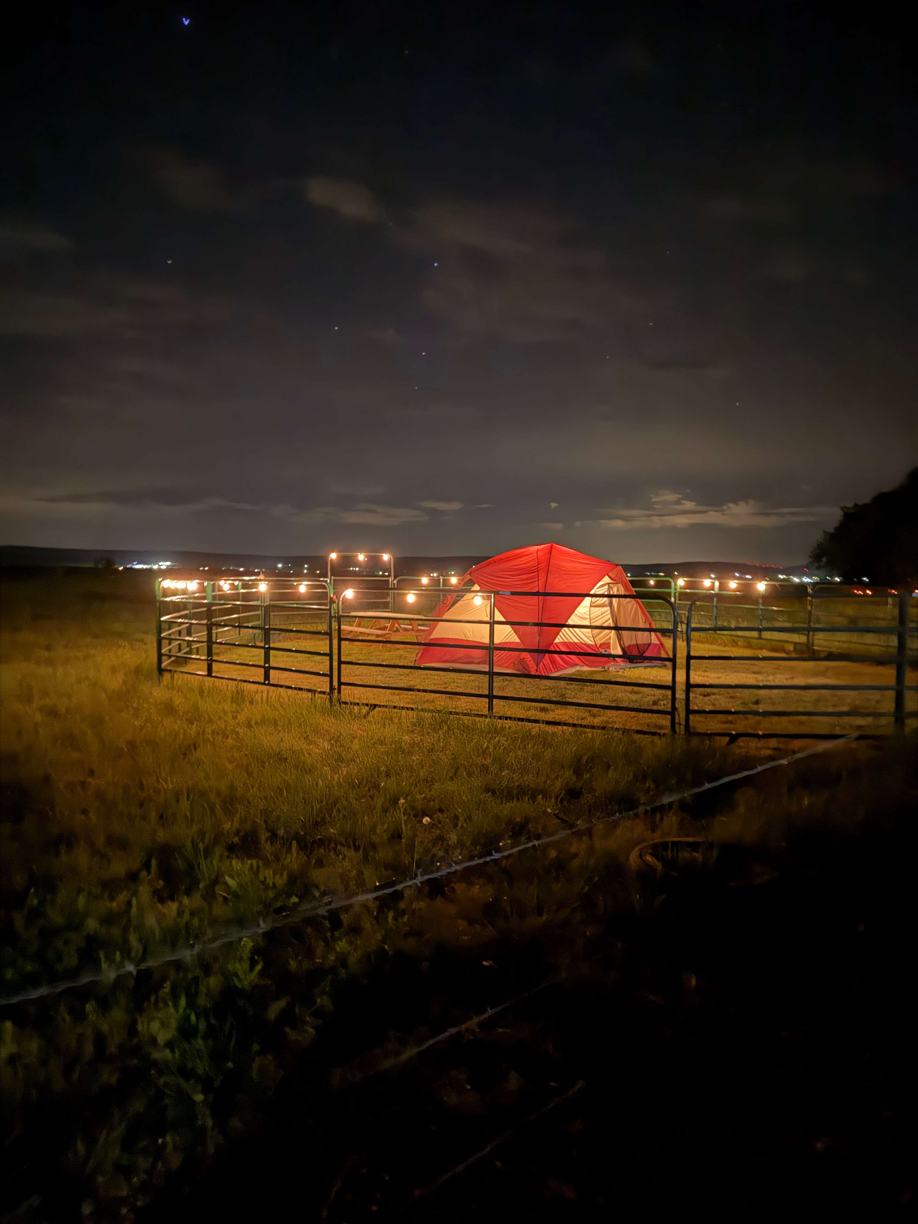 Fat Pony Farm