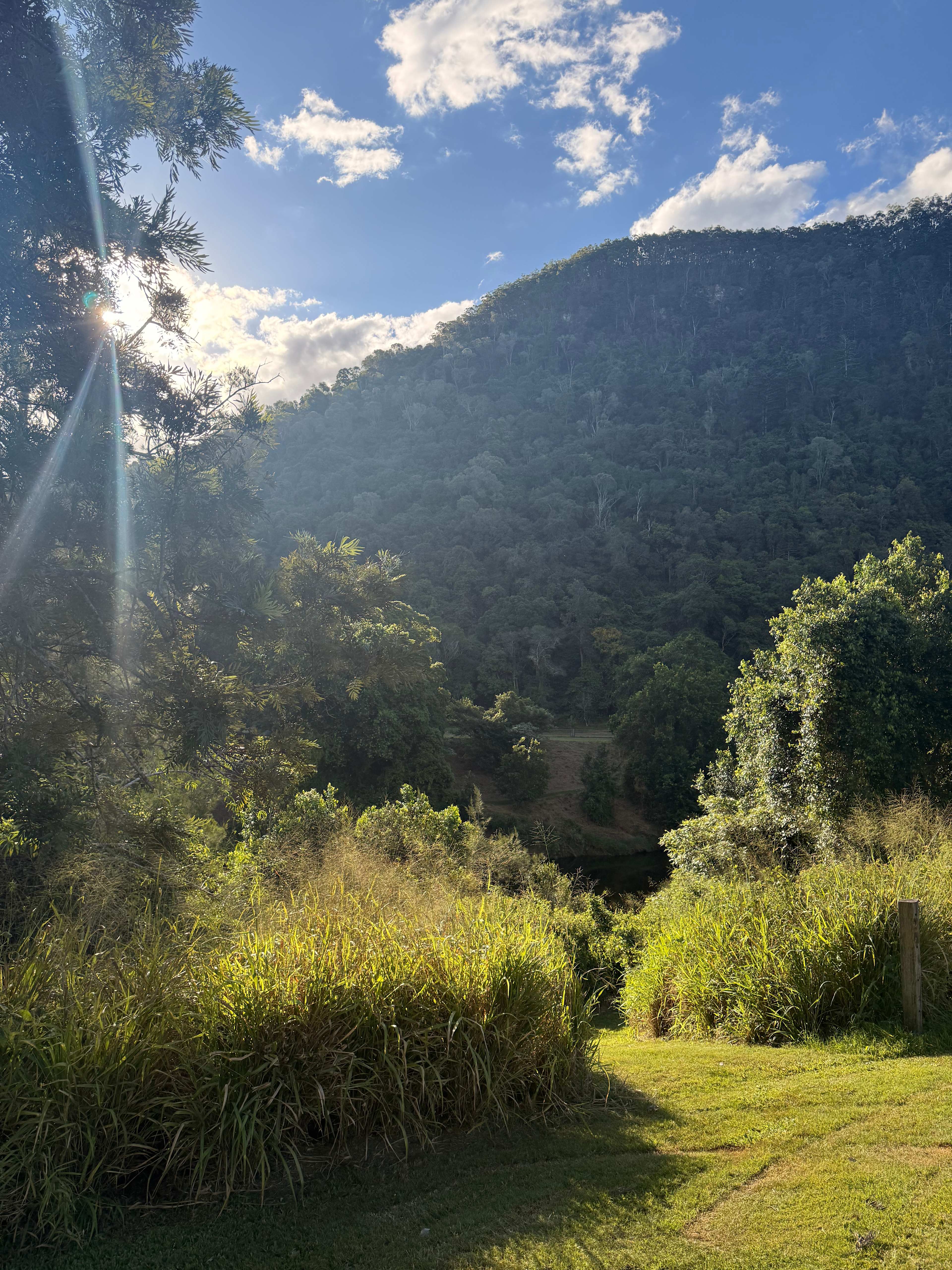 Yabba Creek Farm