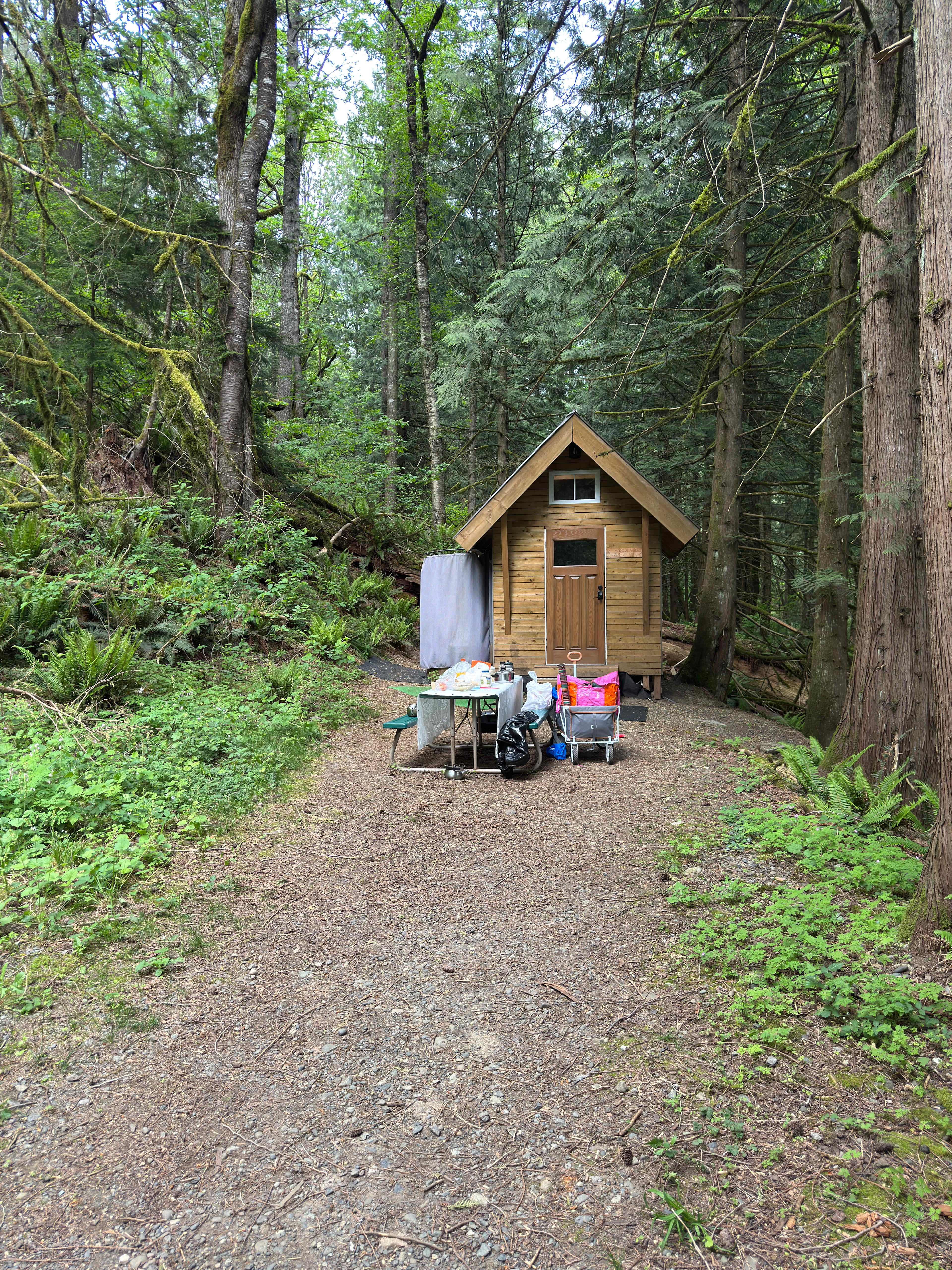 Lakewood Cabins