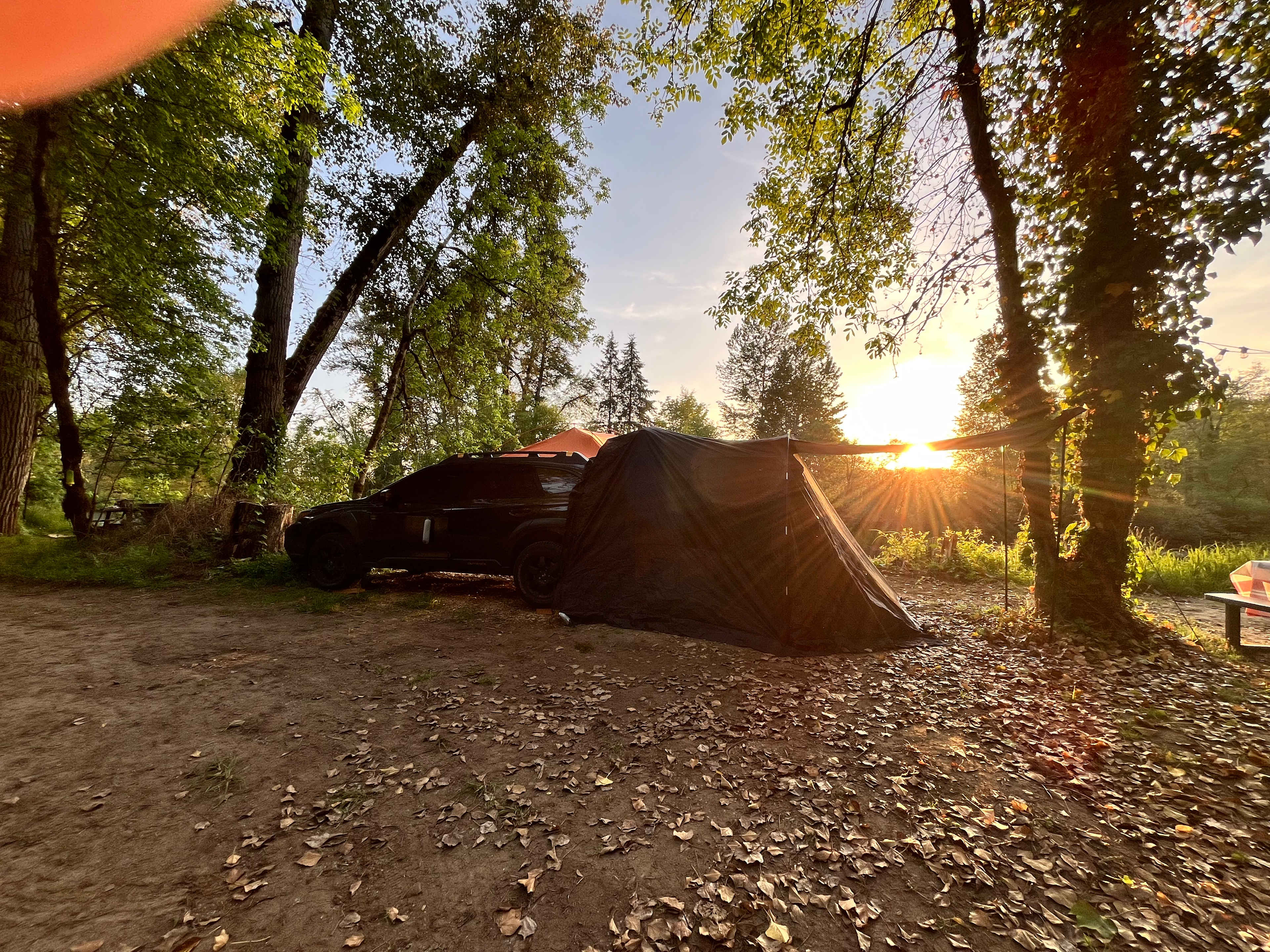 Molalla Ripple