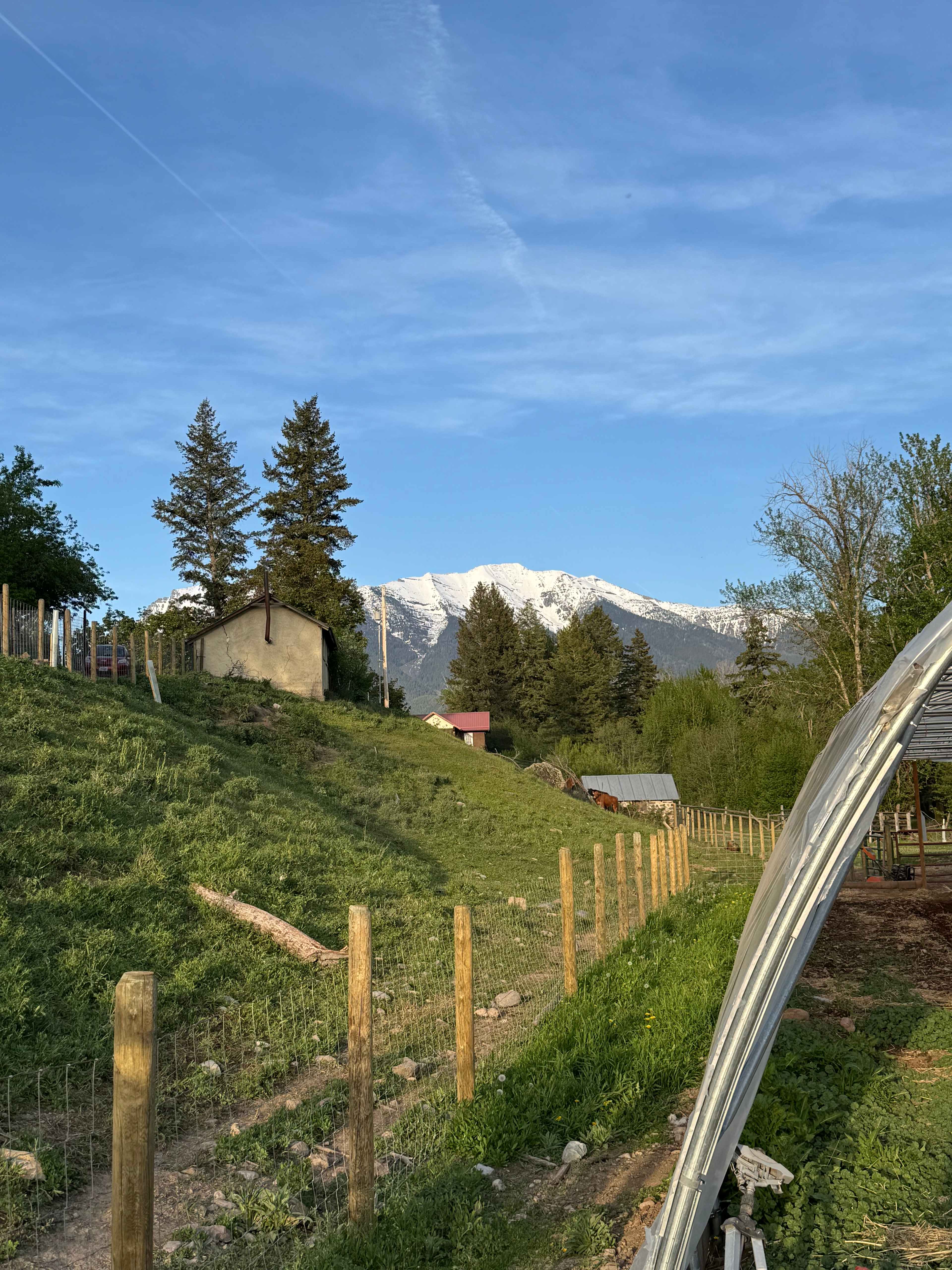 A view around the farm