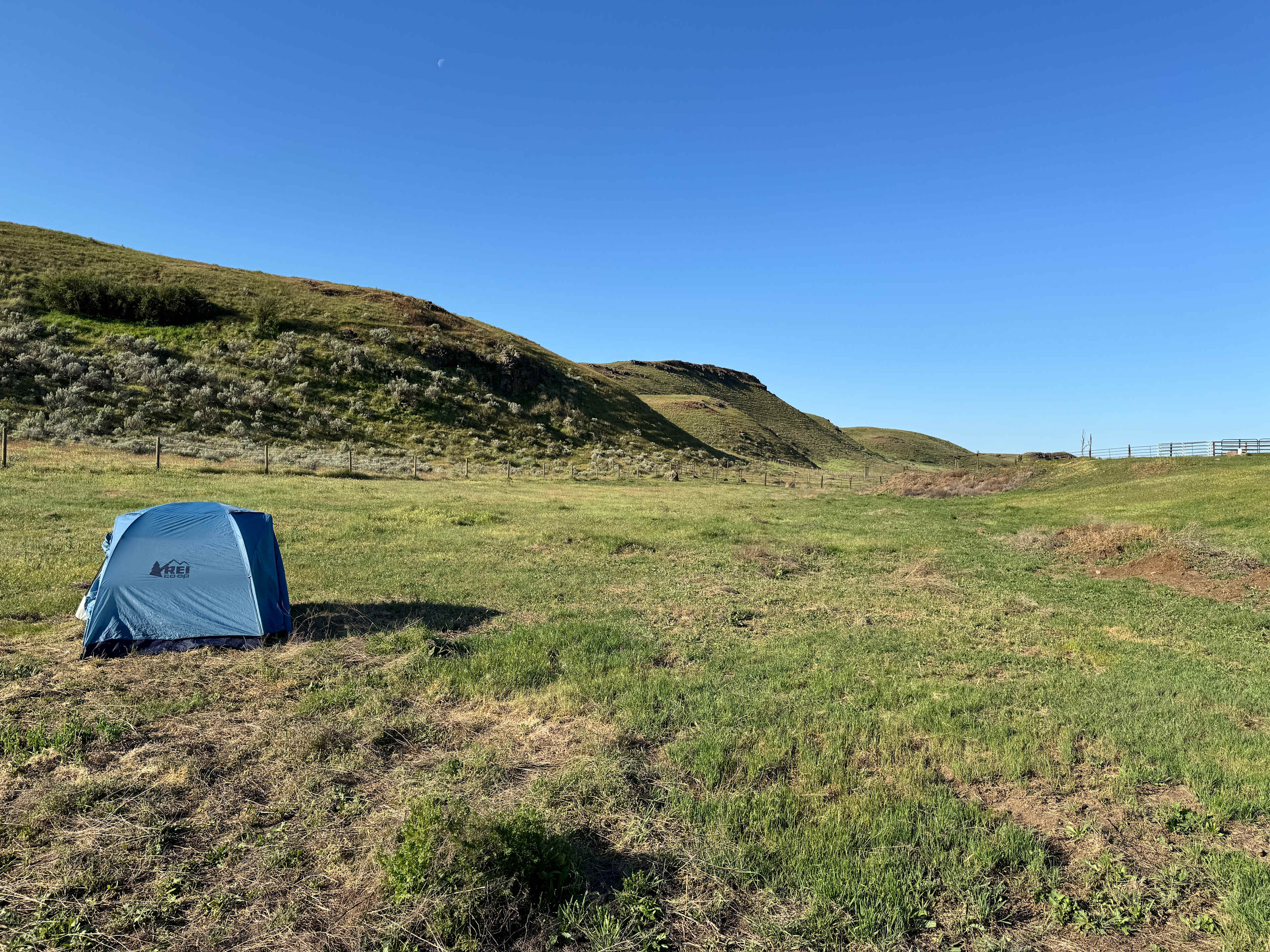 Camping in the pasture.  Should have got a picture of the stars!