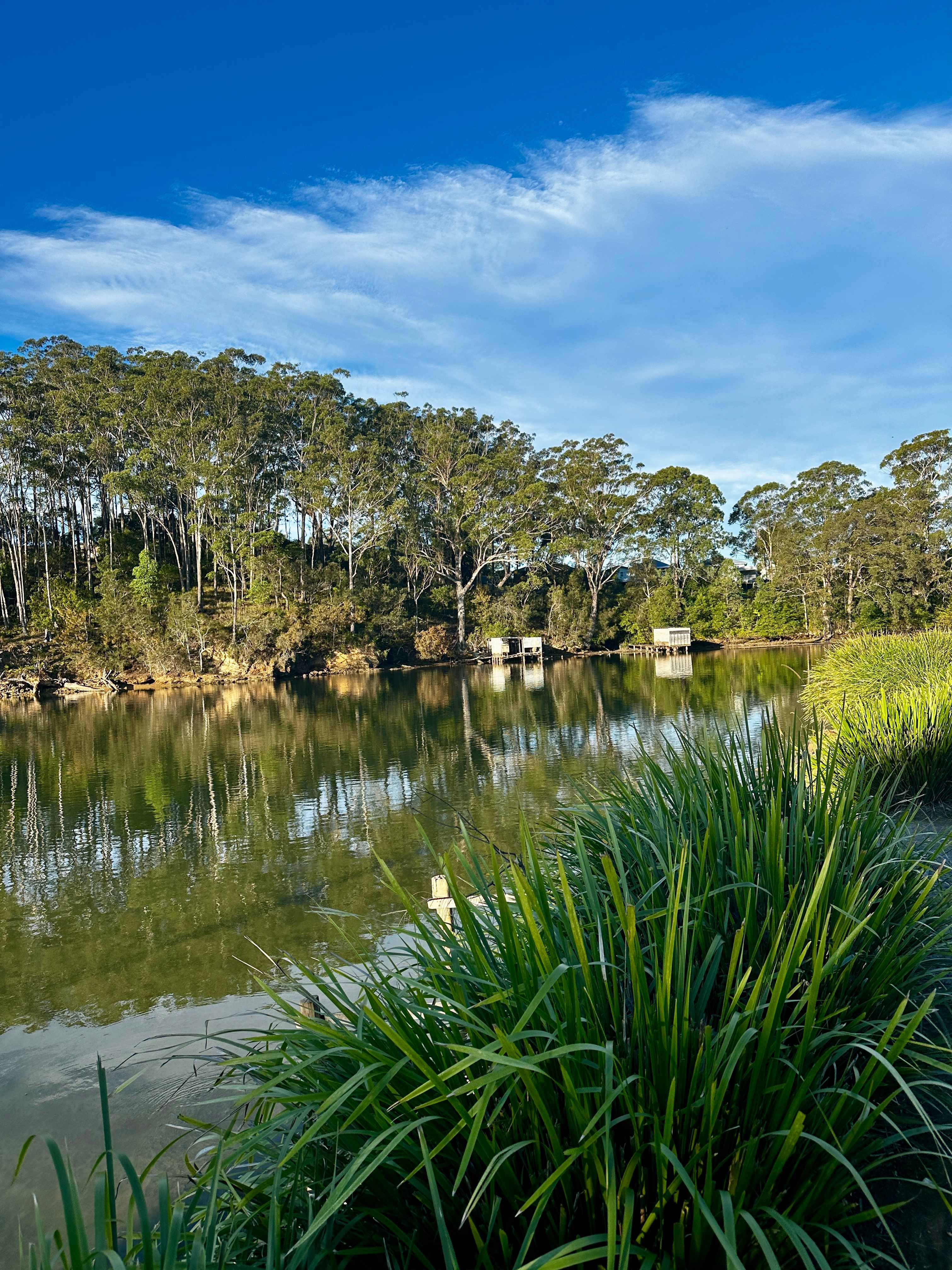 Anchorage Park Urunga