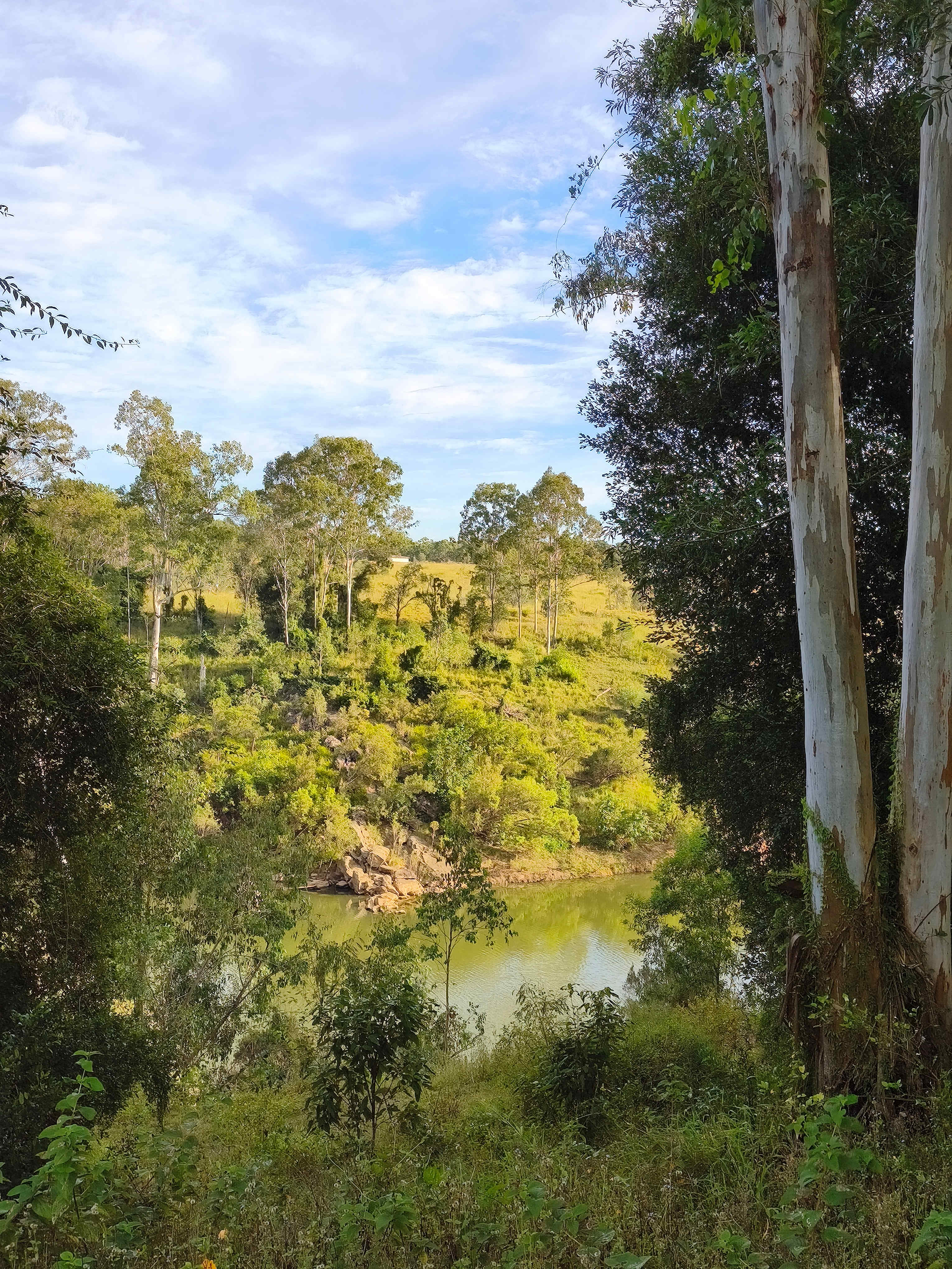 View of river in clearing by campsite. The opposite bank gives you an idea of the slop to get to the river. The campsite of the river is cover by more bush in comparison. 