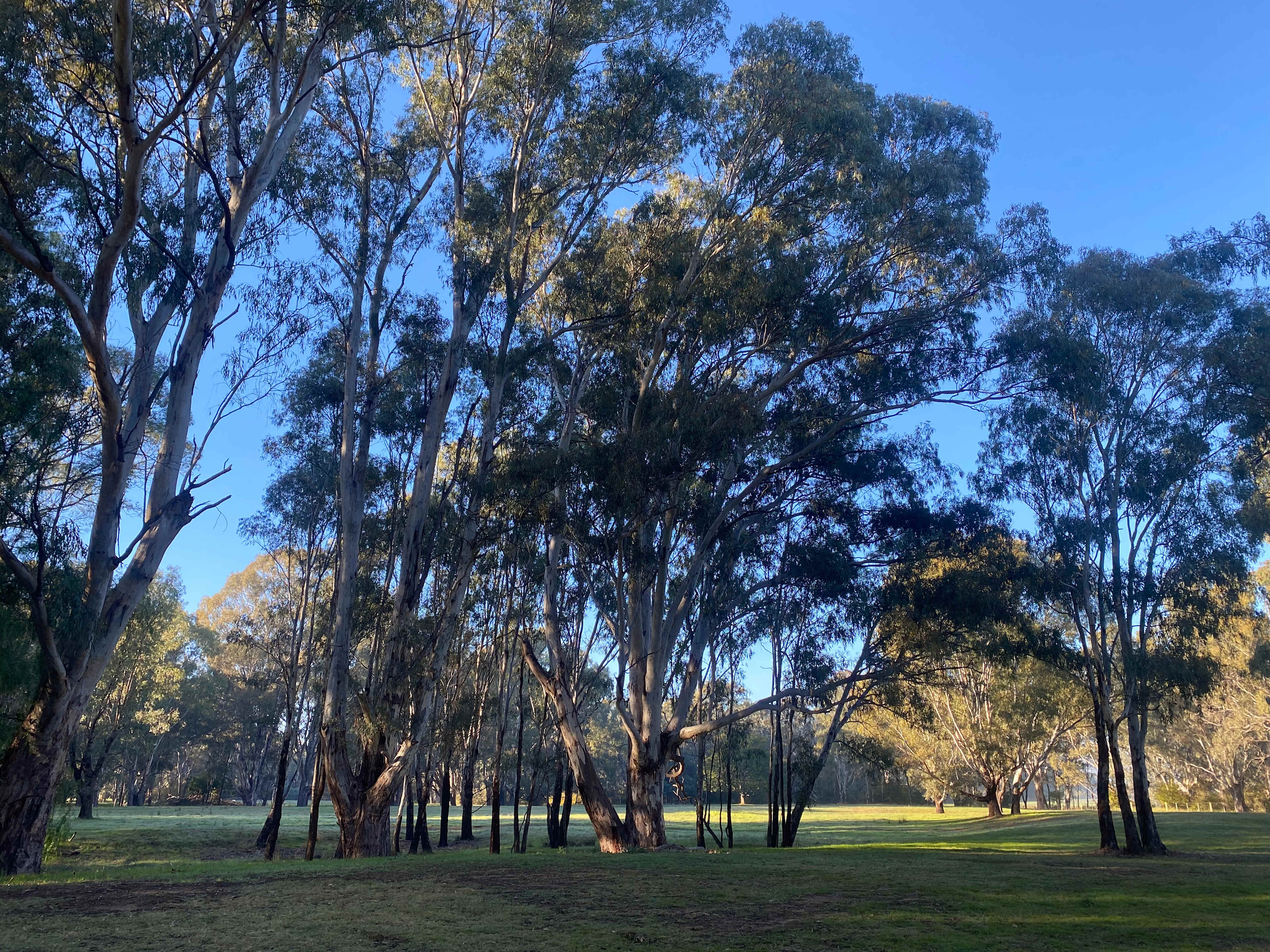 Billabong Flats Farm