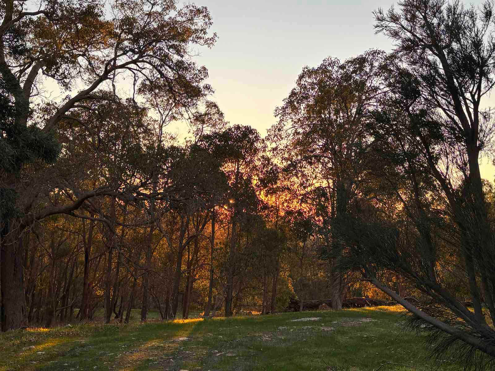 100-Acre Woods