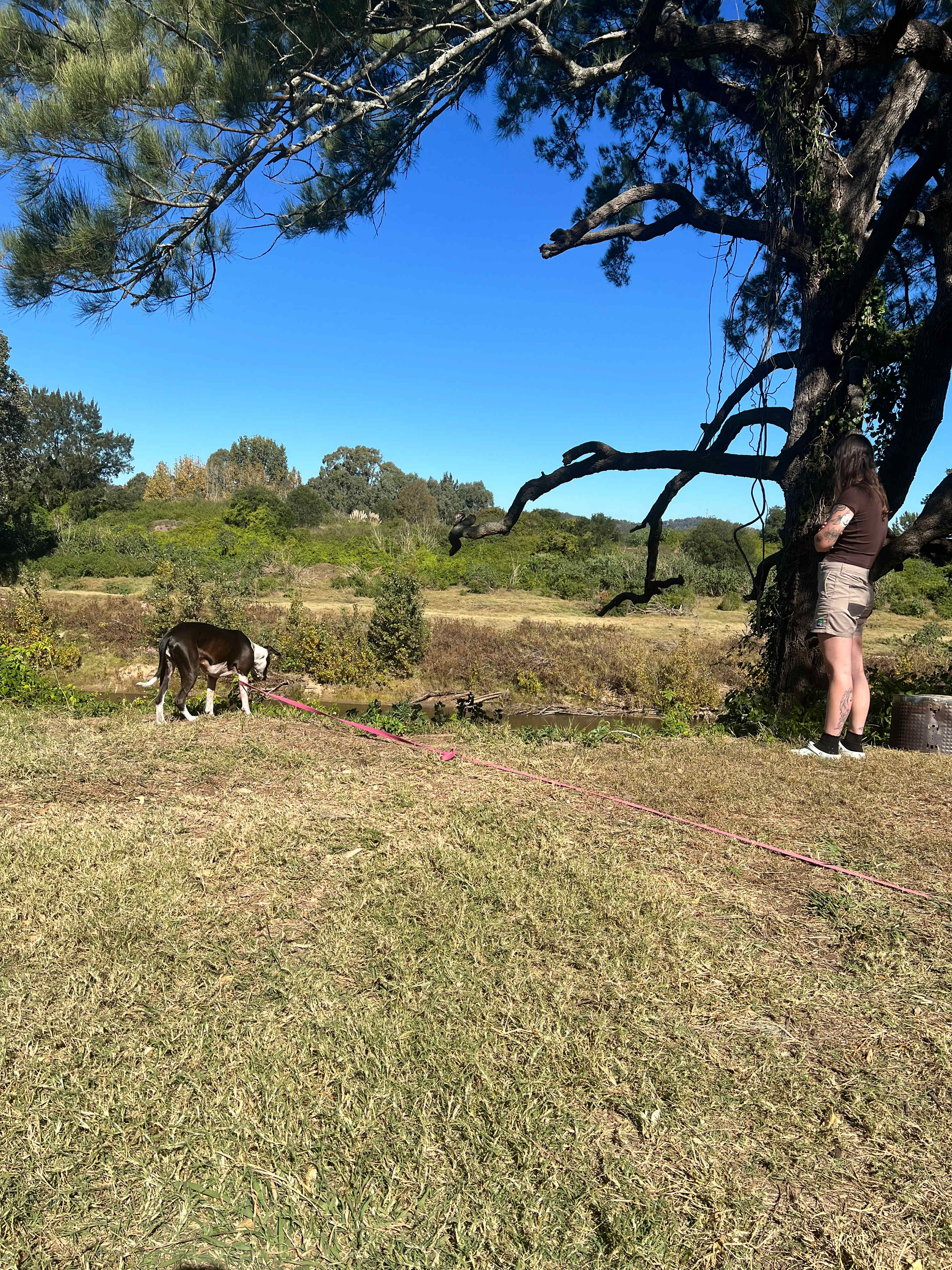 Rosebrook Eco Campgrounds