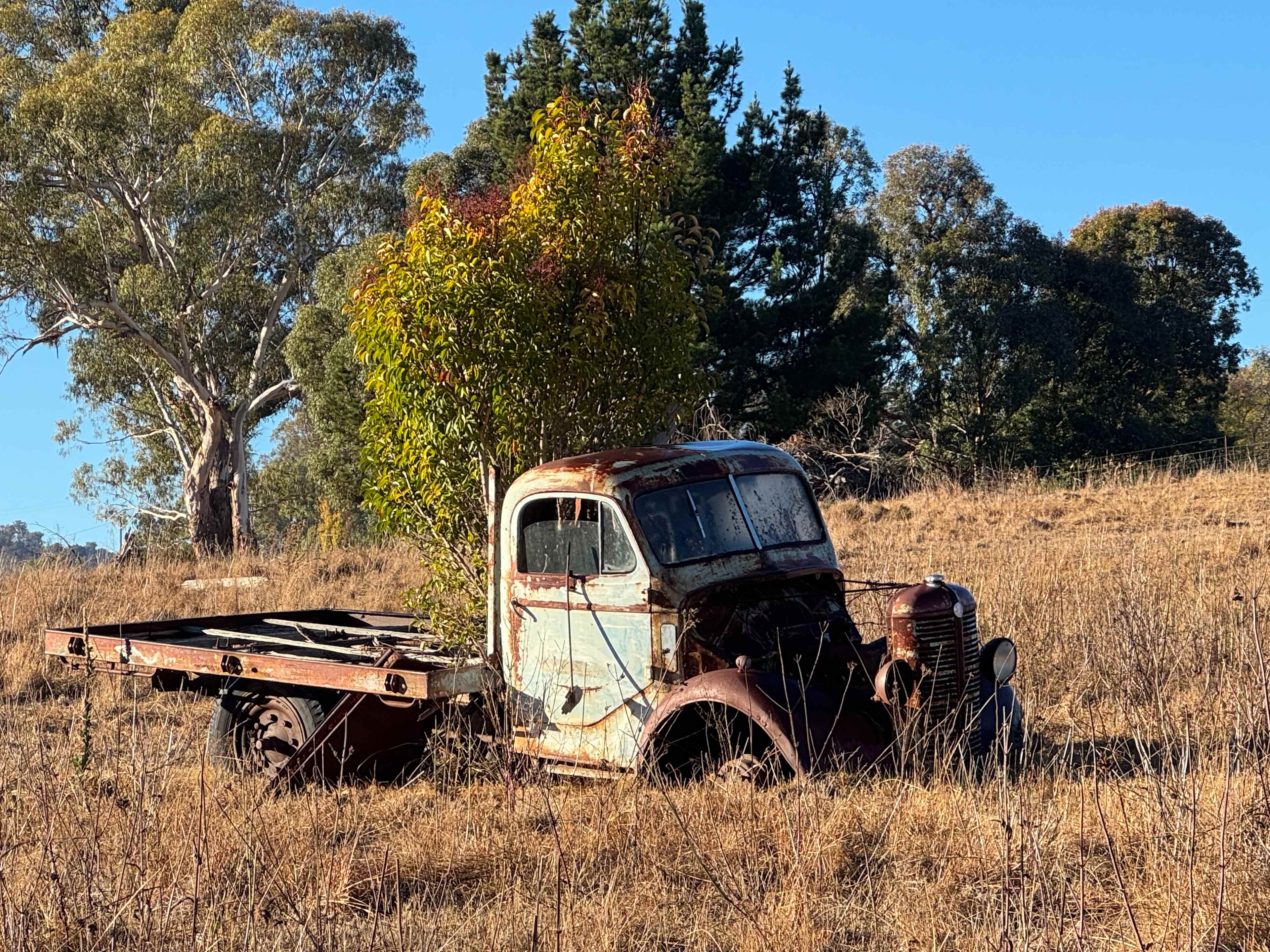 Eden Vale Shearing Shed Camp