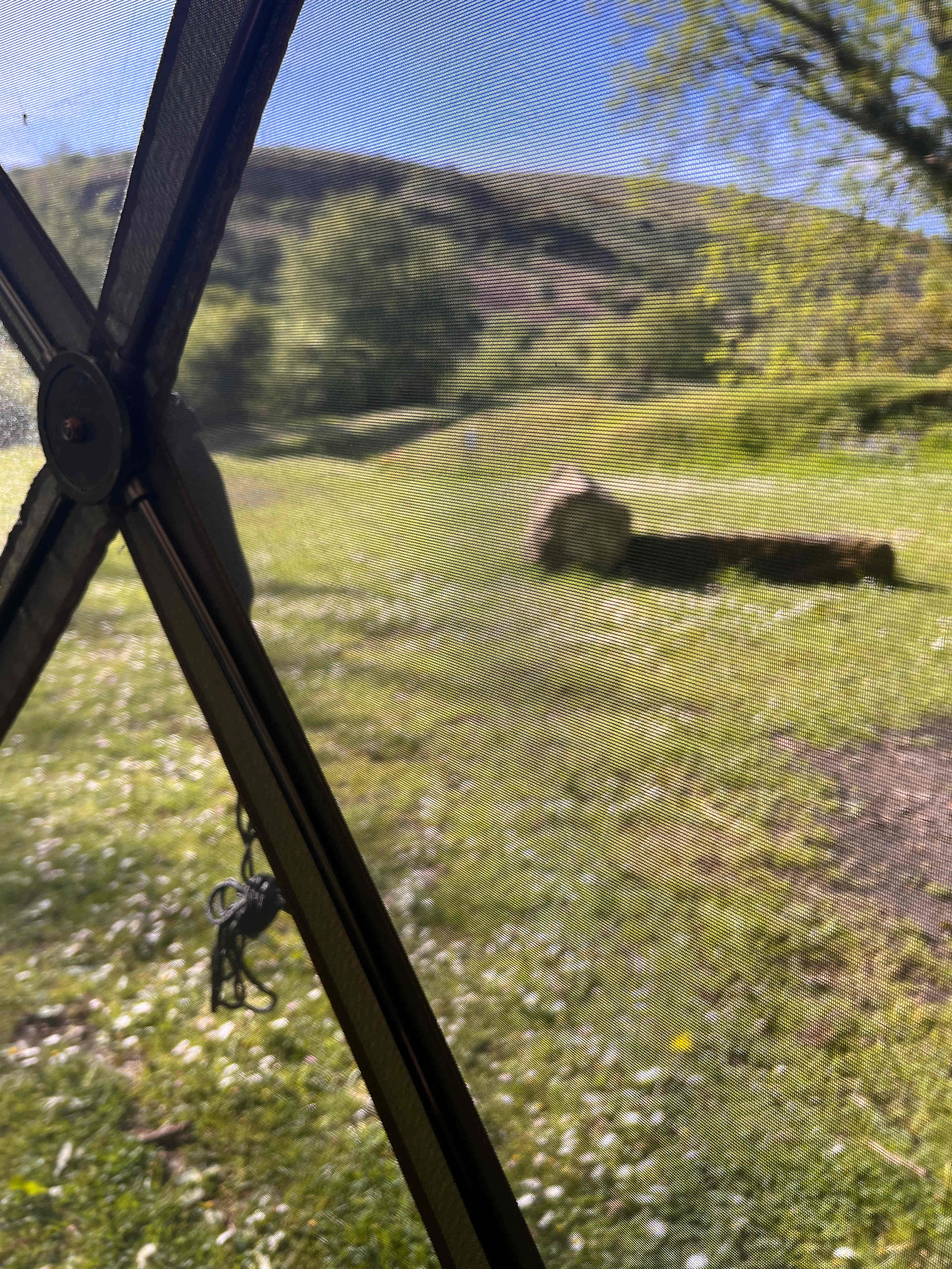 Meldon Lake and Woods Wild Camping