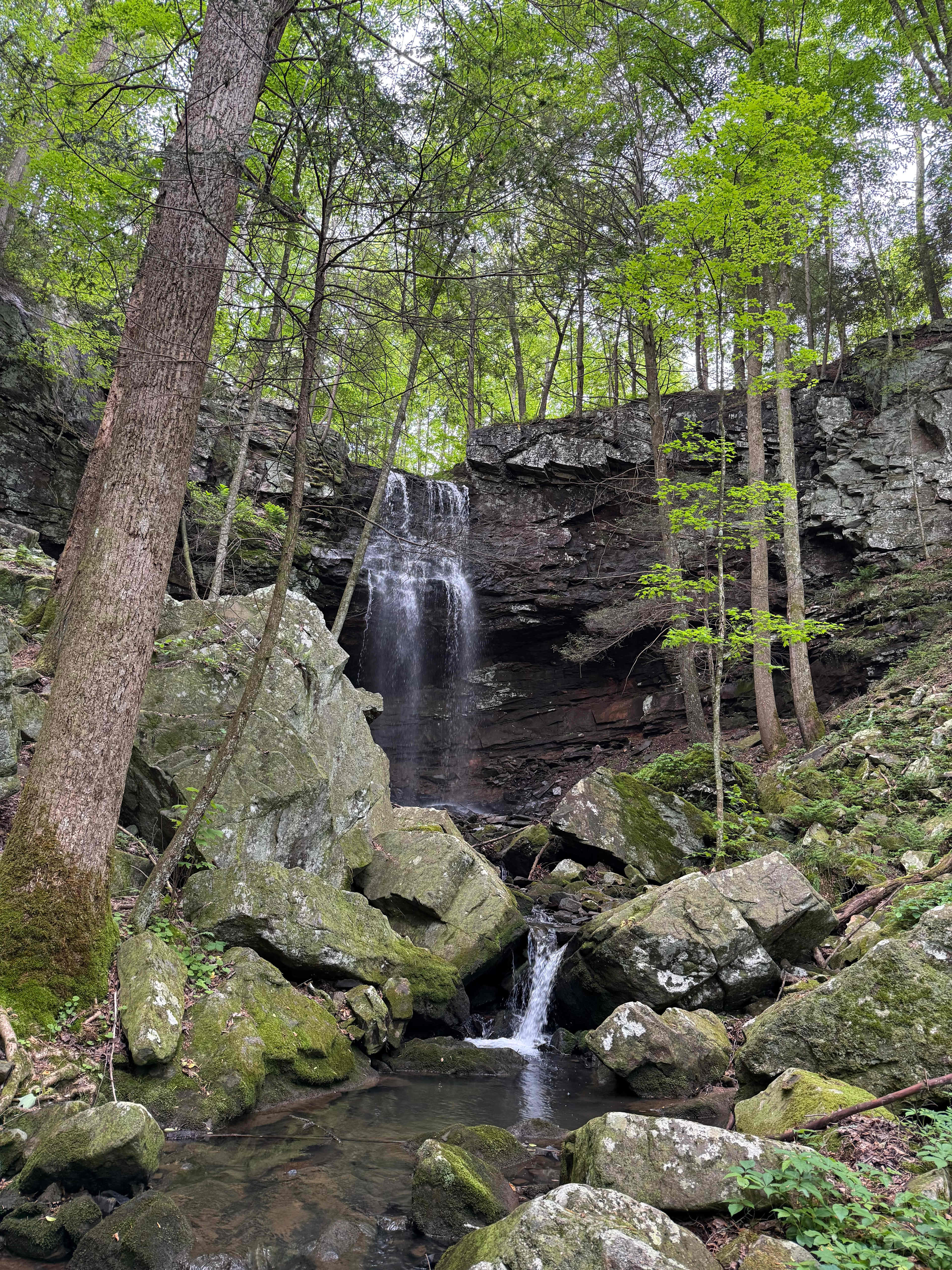 The Falls at Sewanee Creek