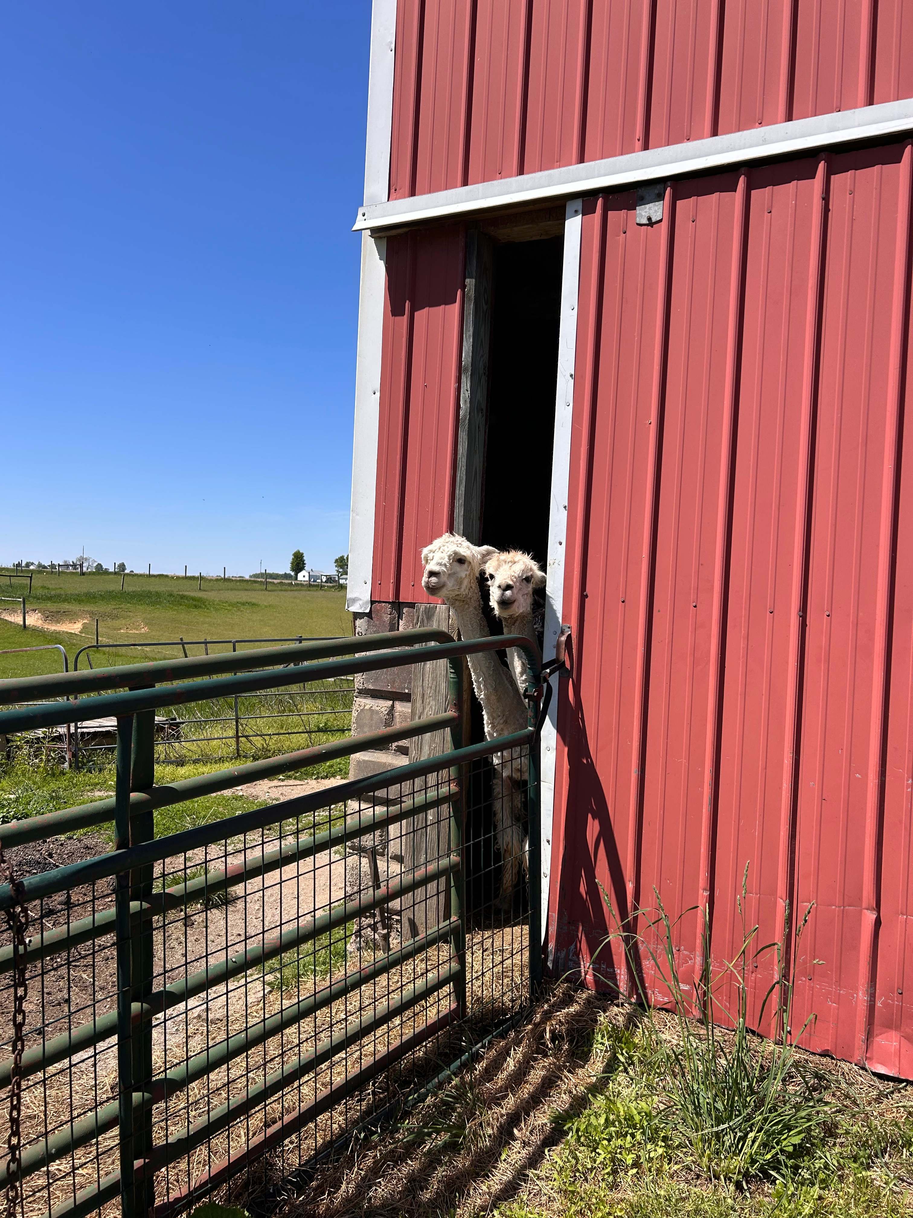 Heritage Farm Stay Adventure