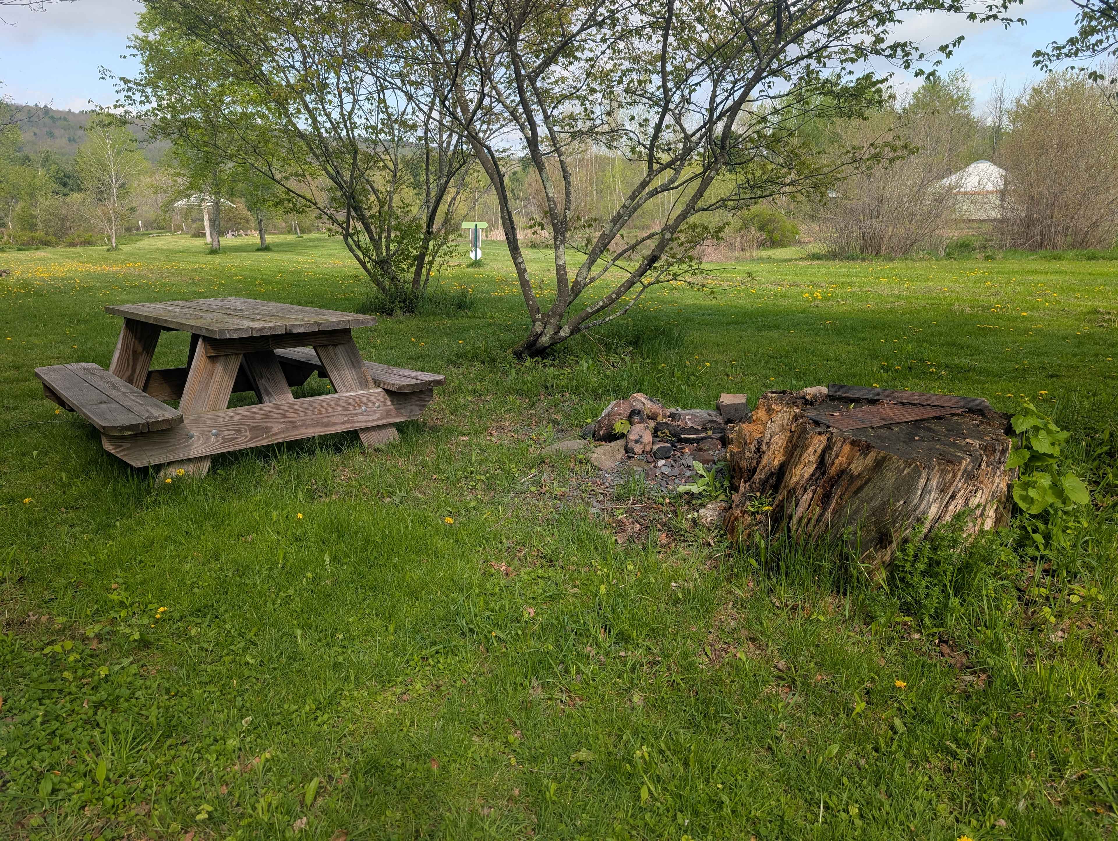 Picture of the site