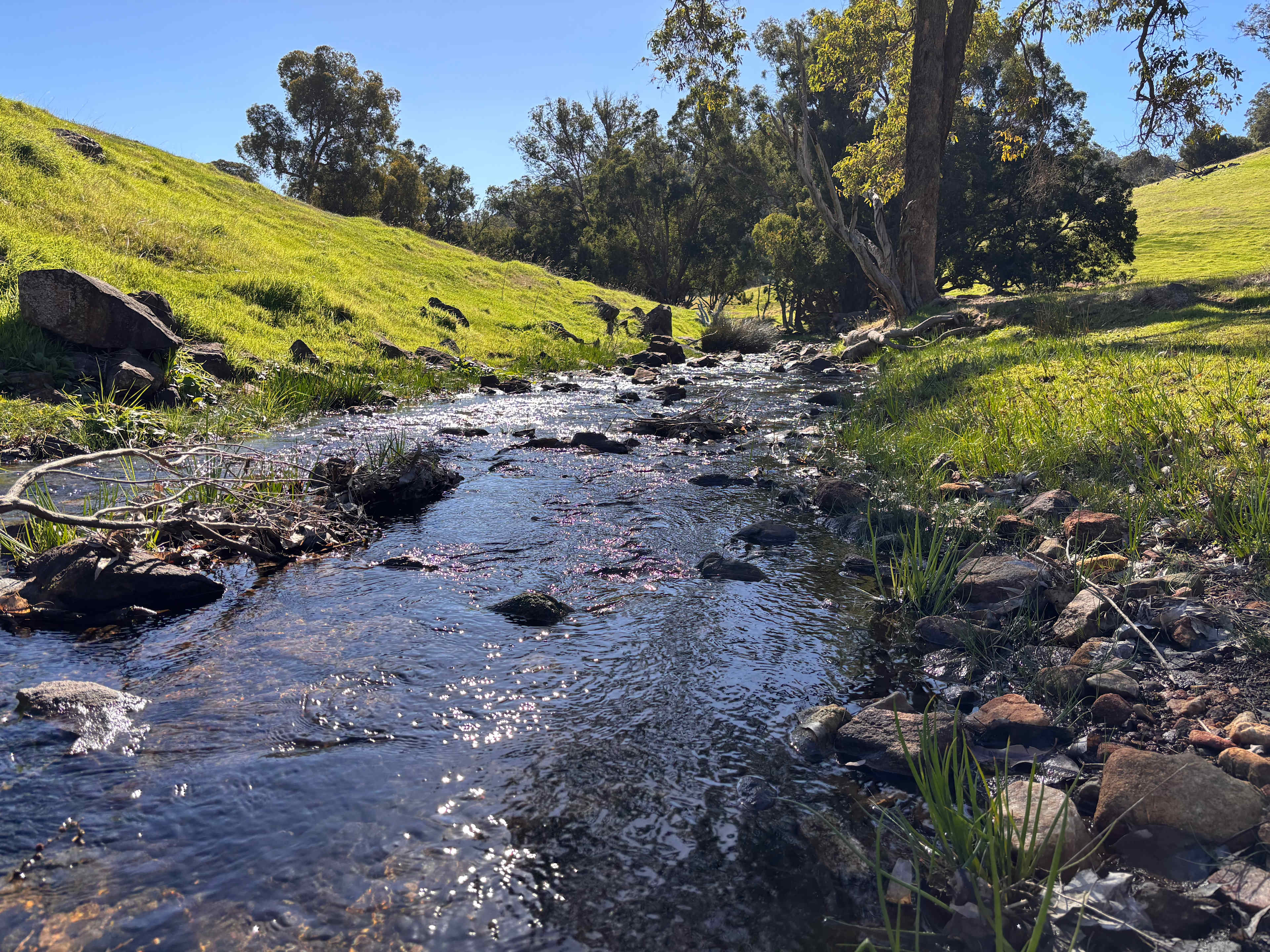 Bolinda Vale Farm