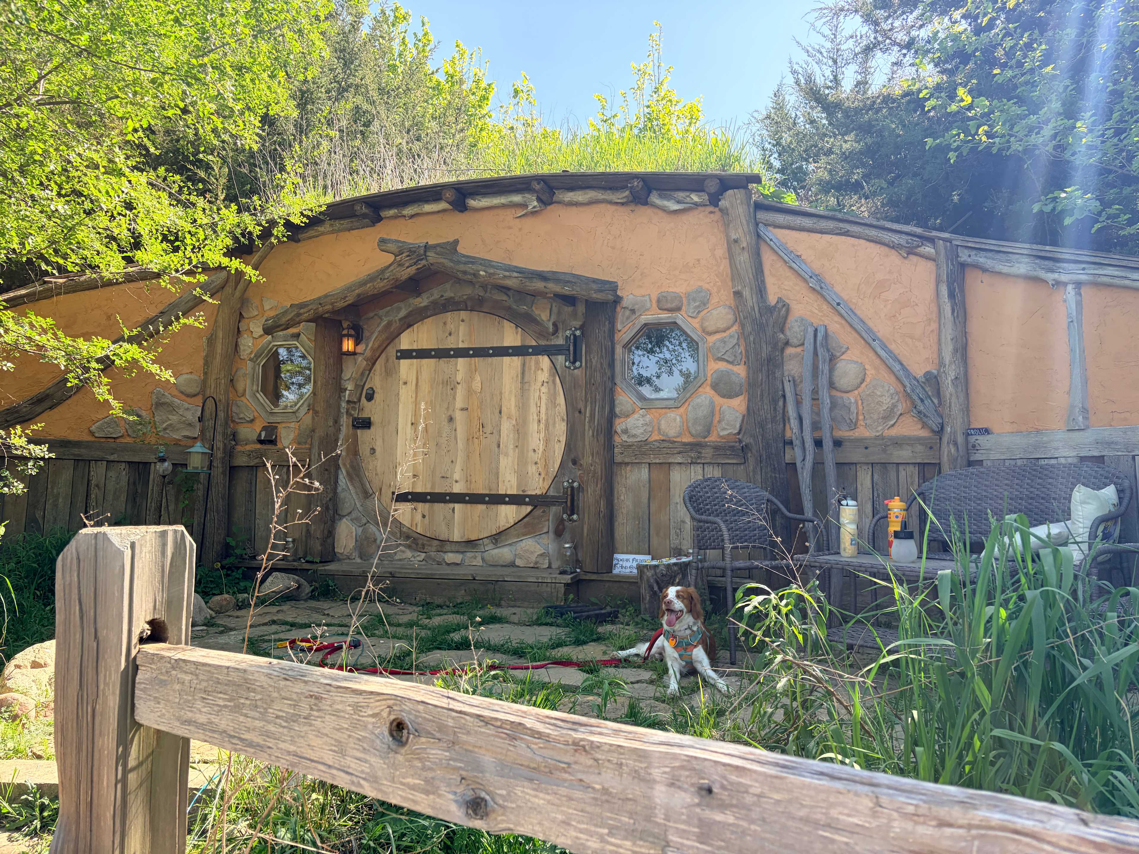 Windy Goat Acres