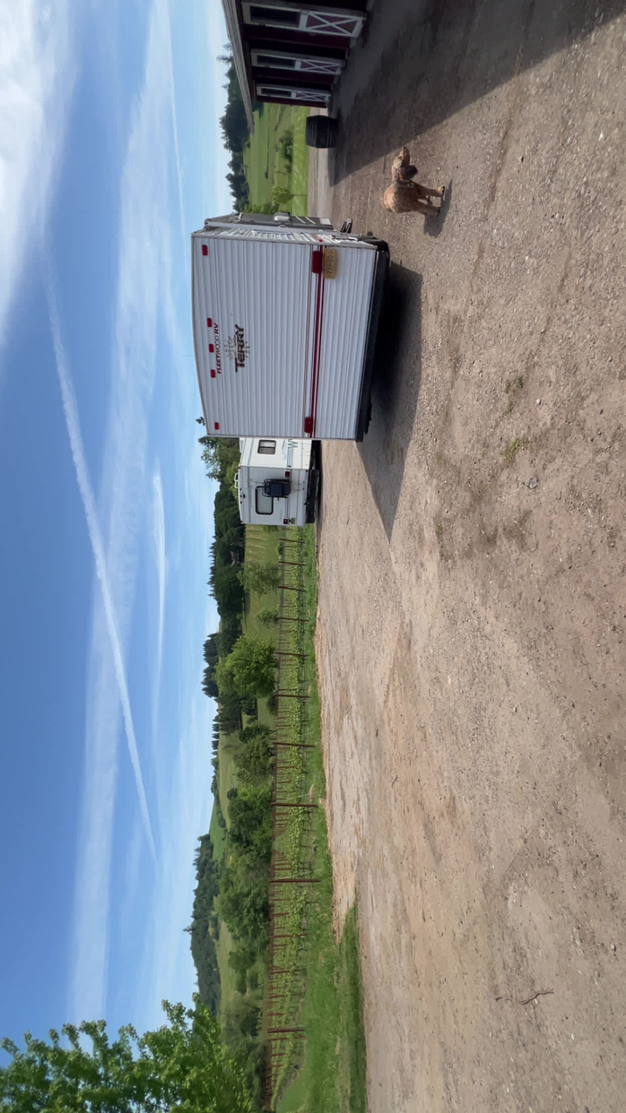 Zenith Vineyard Camping