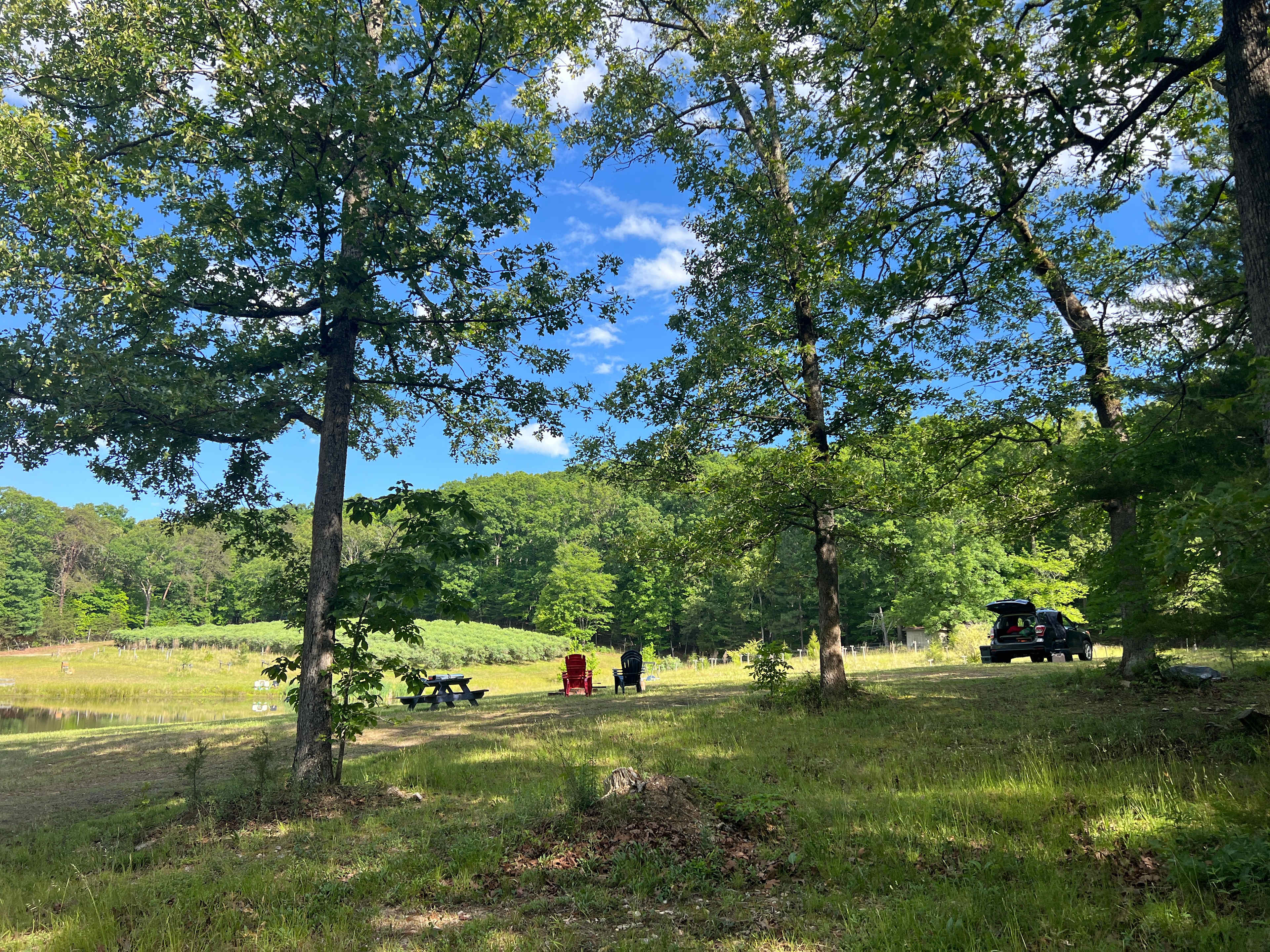 Private meadow and pond