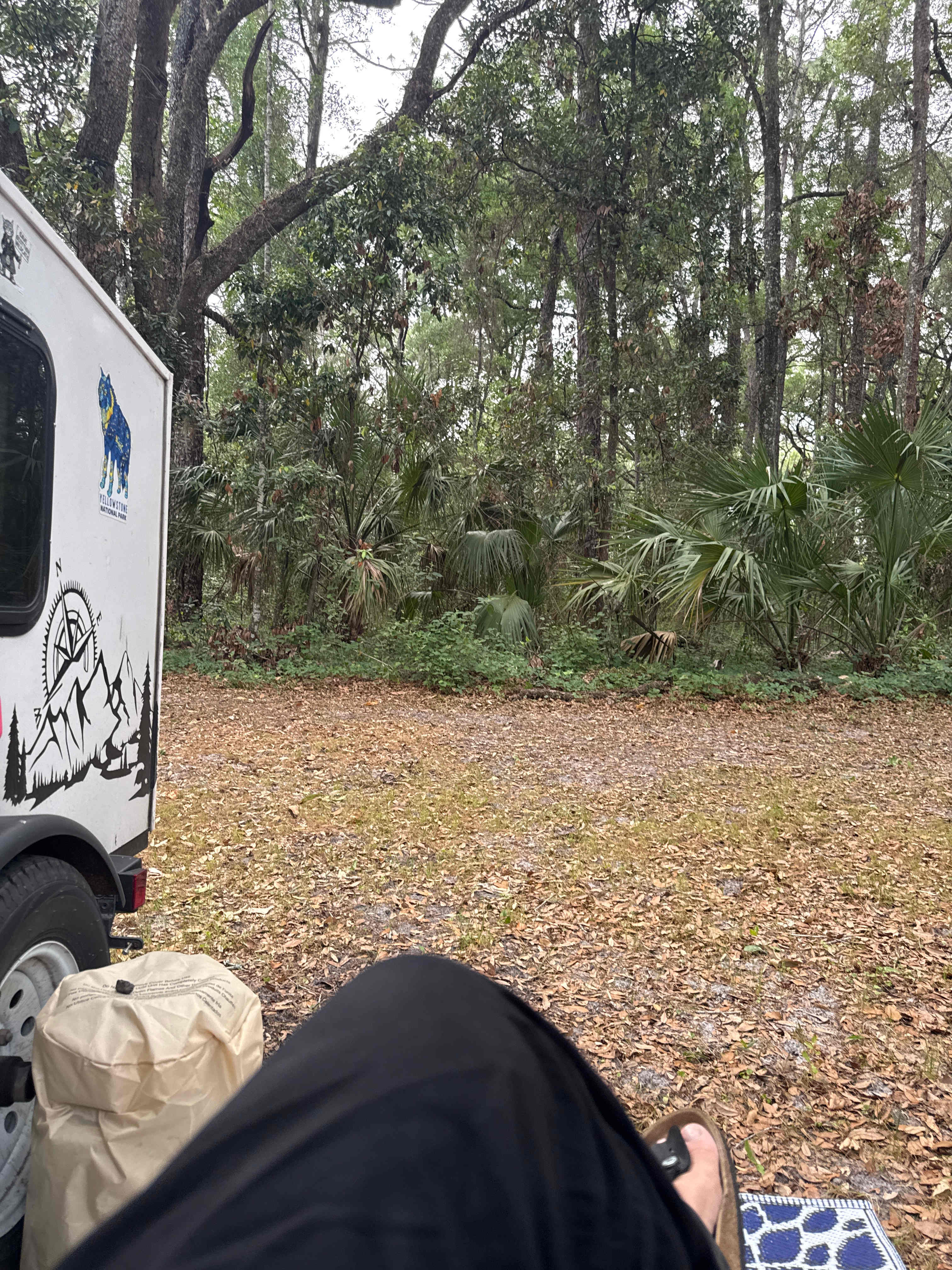 Enjoyed the sounds of nature 