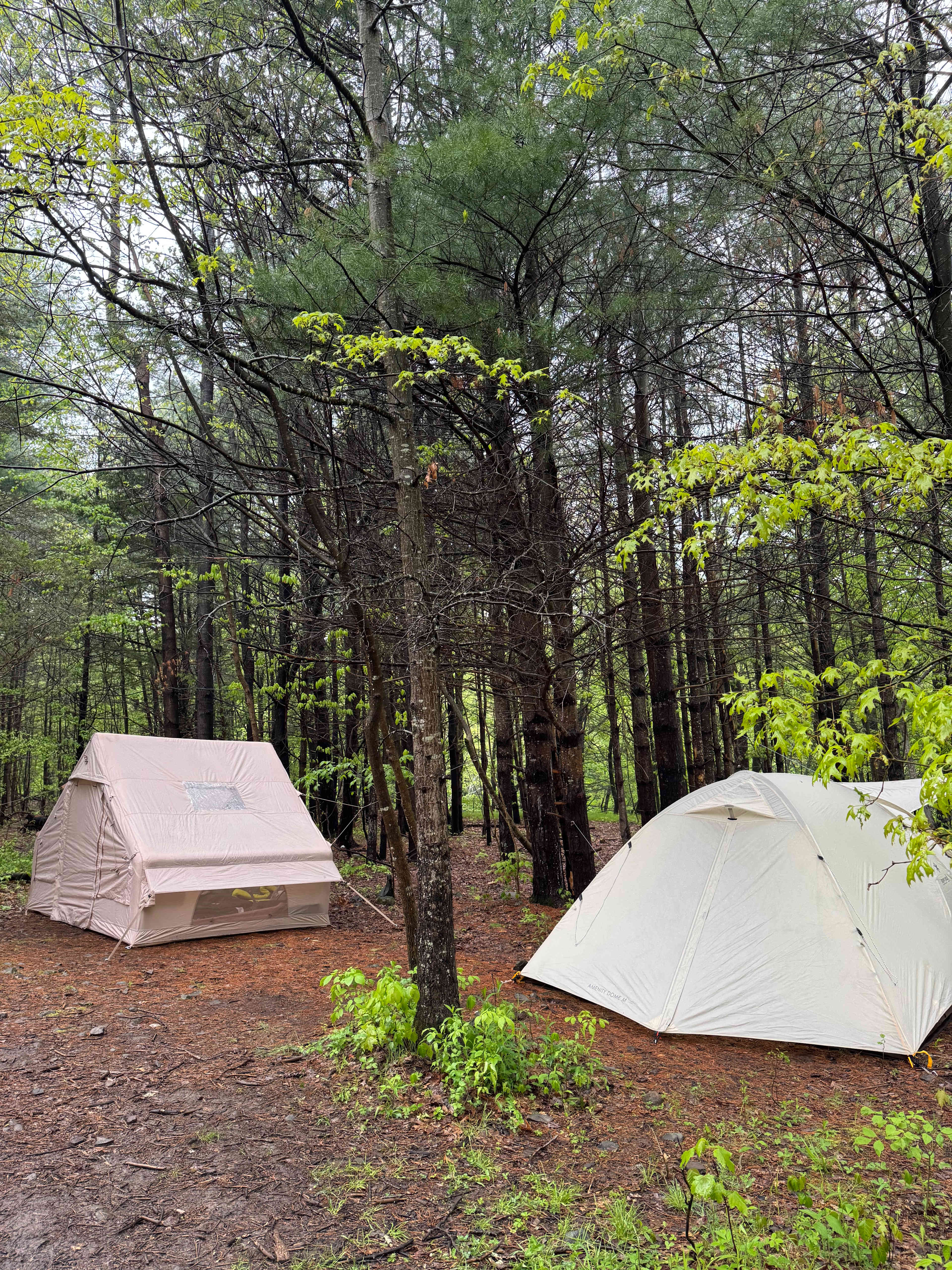 Hickory Hollow
