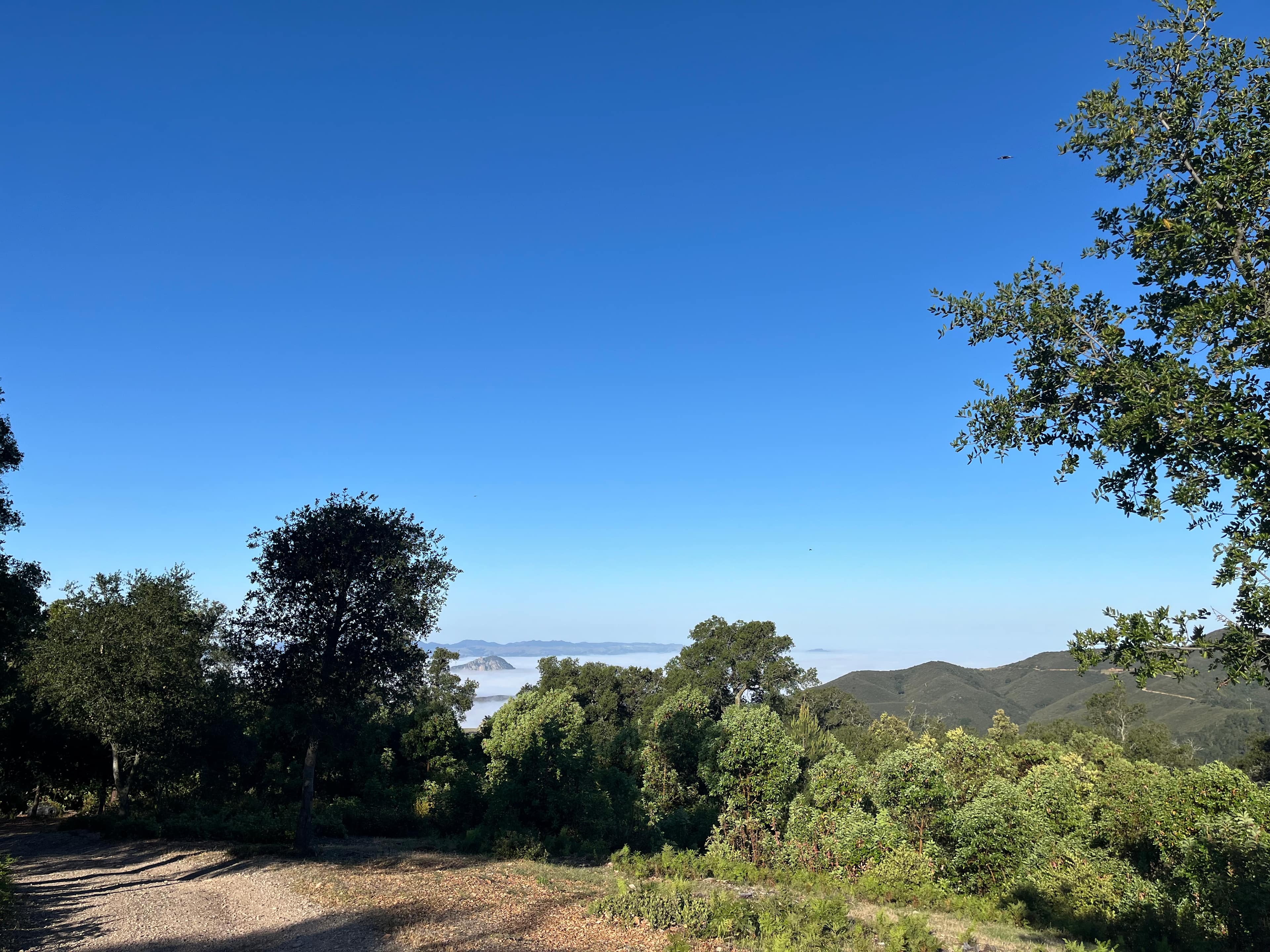 Mt Rancho (FKA La Montaña Ranch)