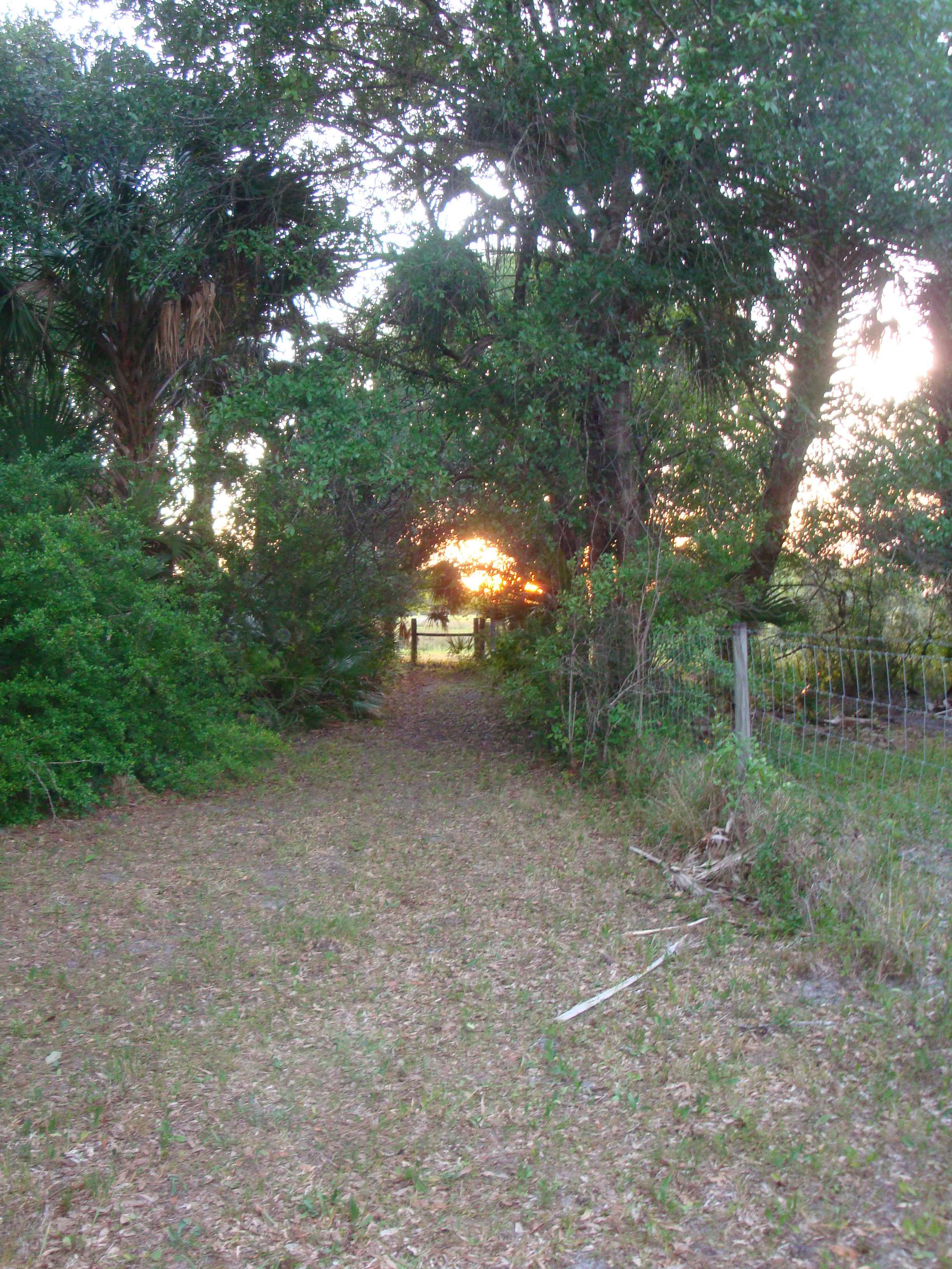 Valhalla Prairie Farm