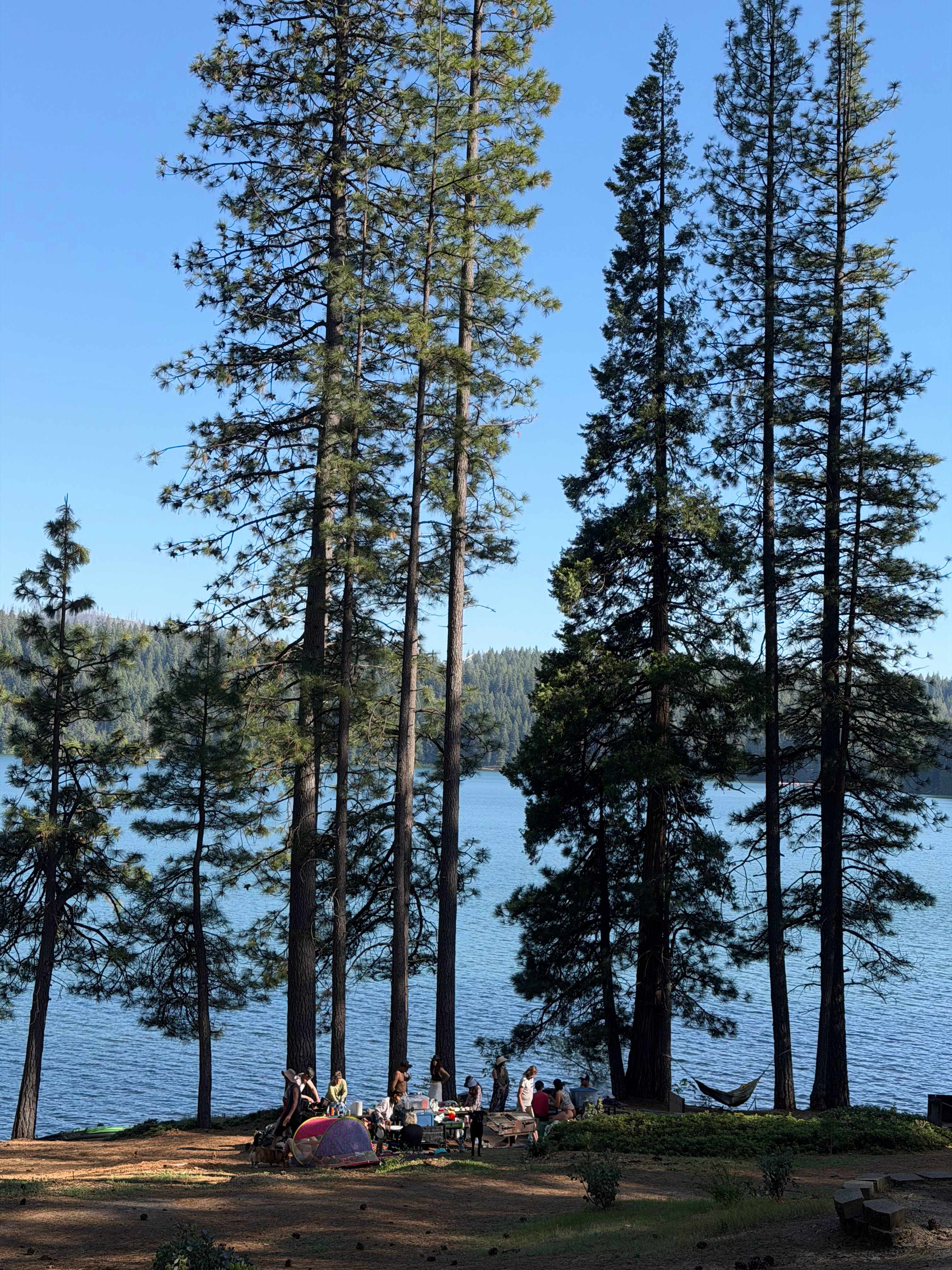 Also the lake