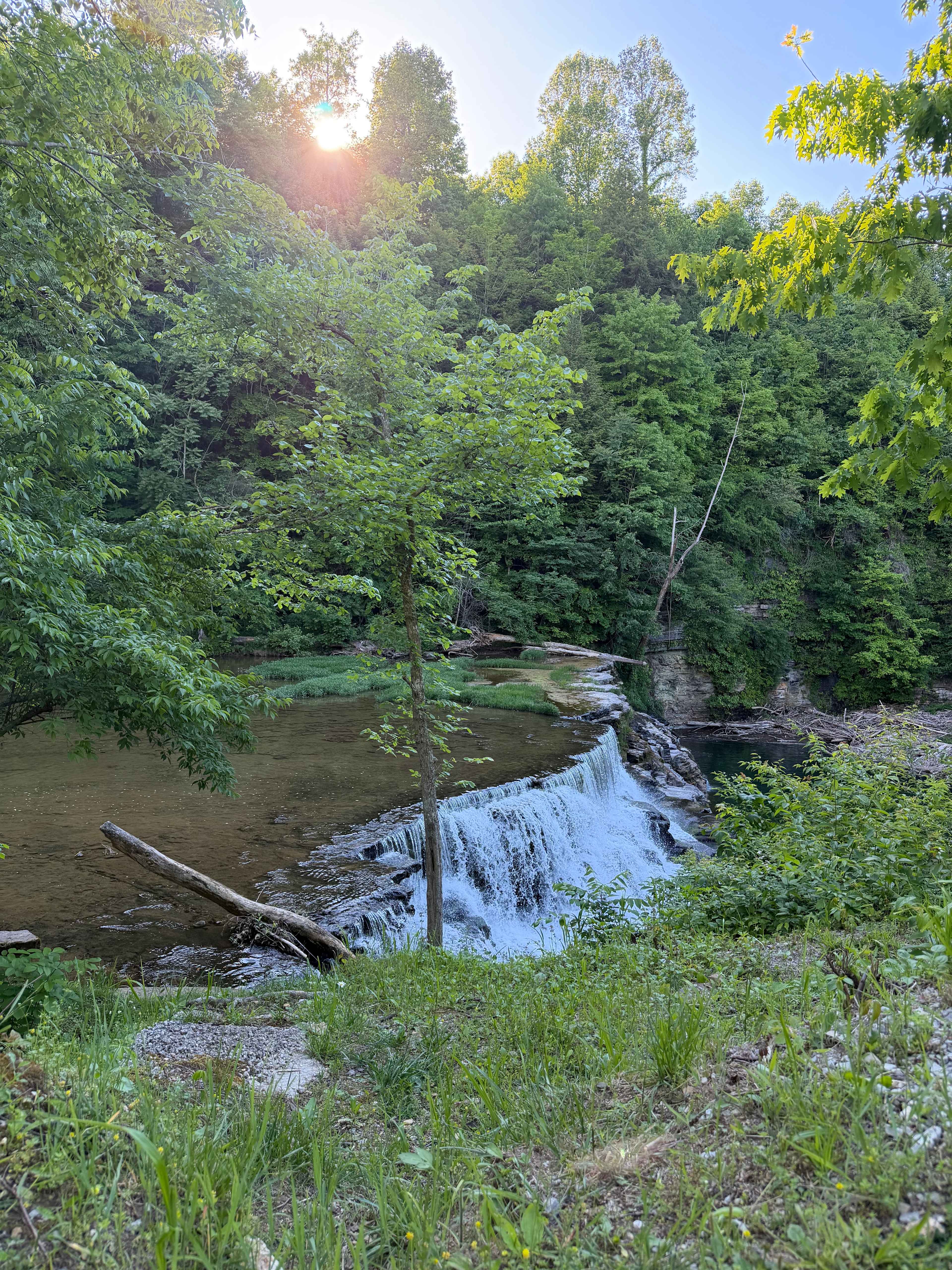Waterloo Falls