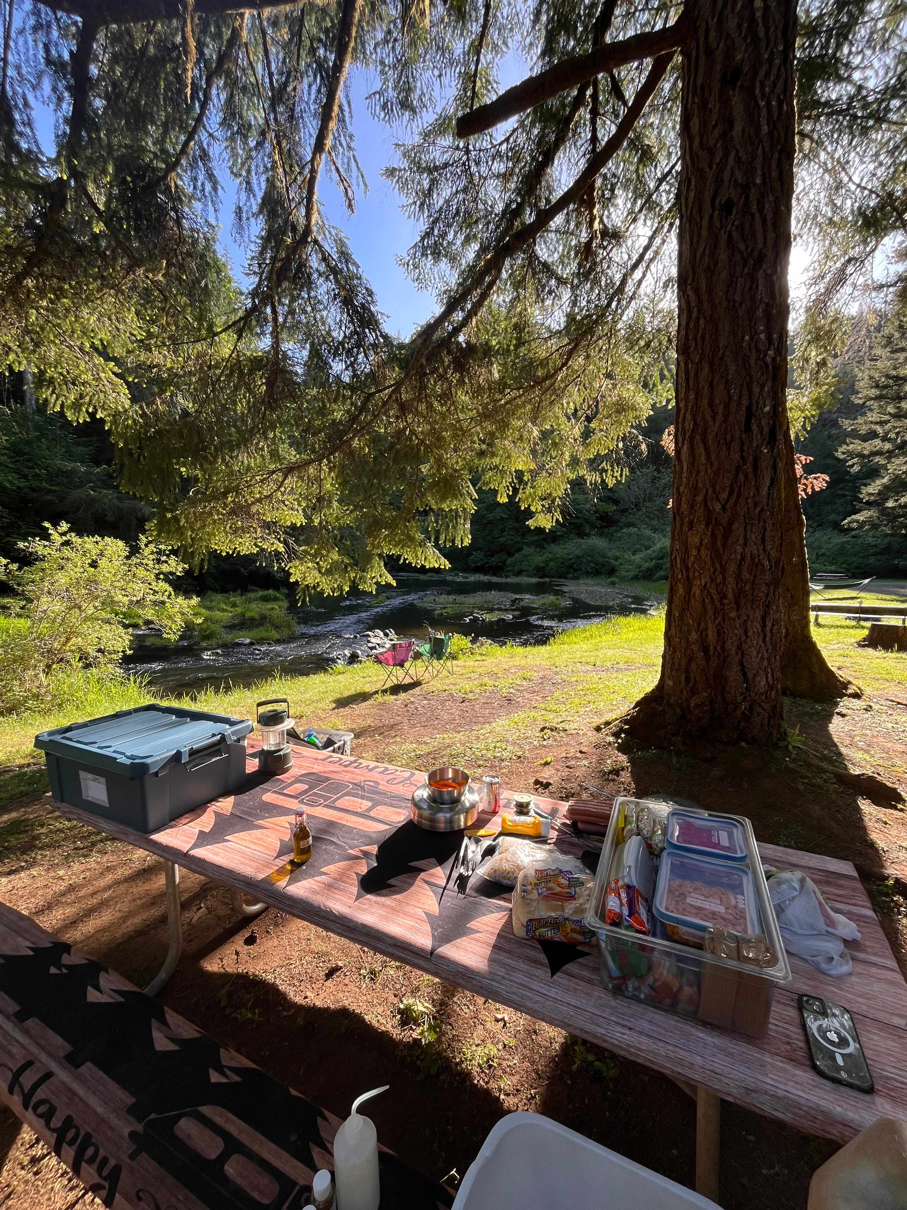 Picture of the site