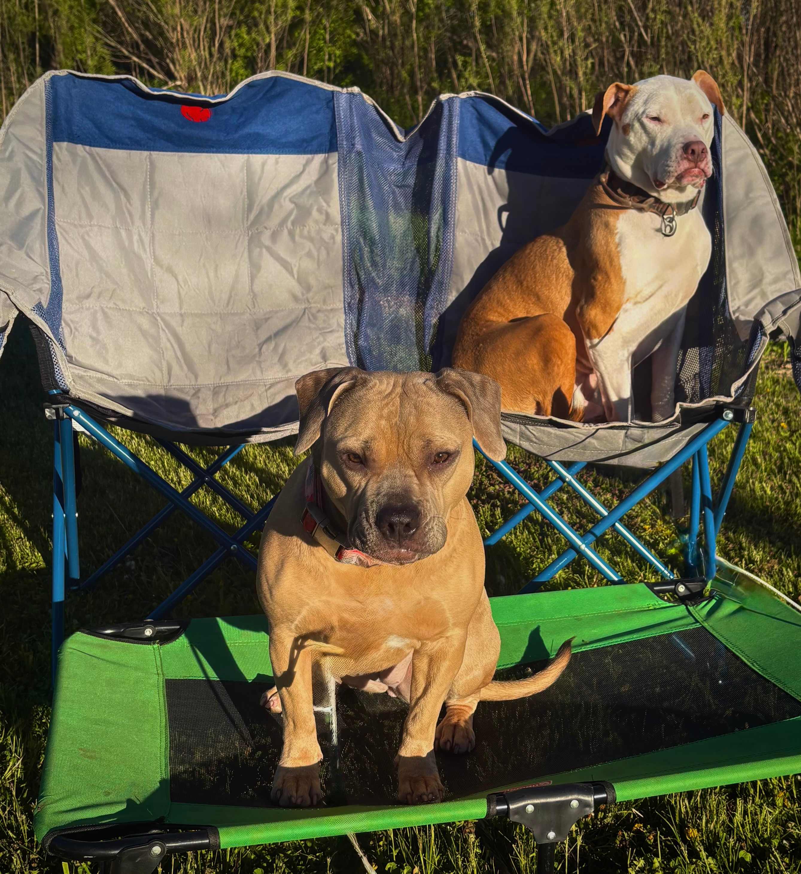 Colton and Maya Enjoying their Best Life!