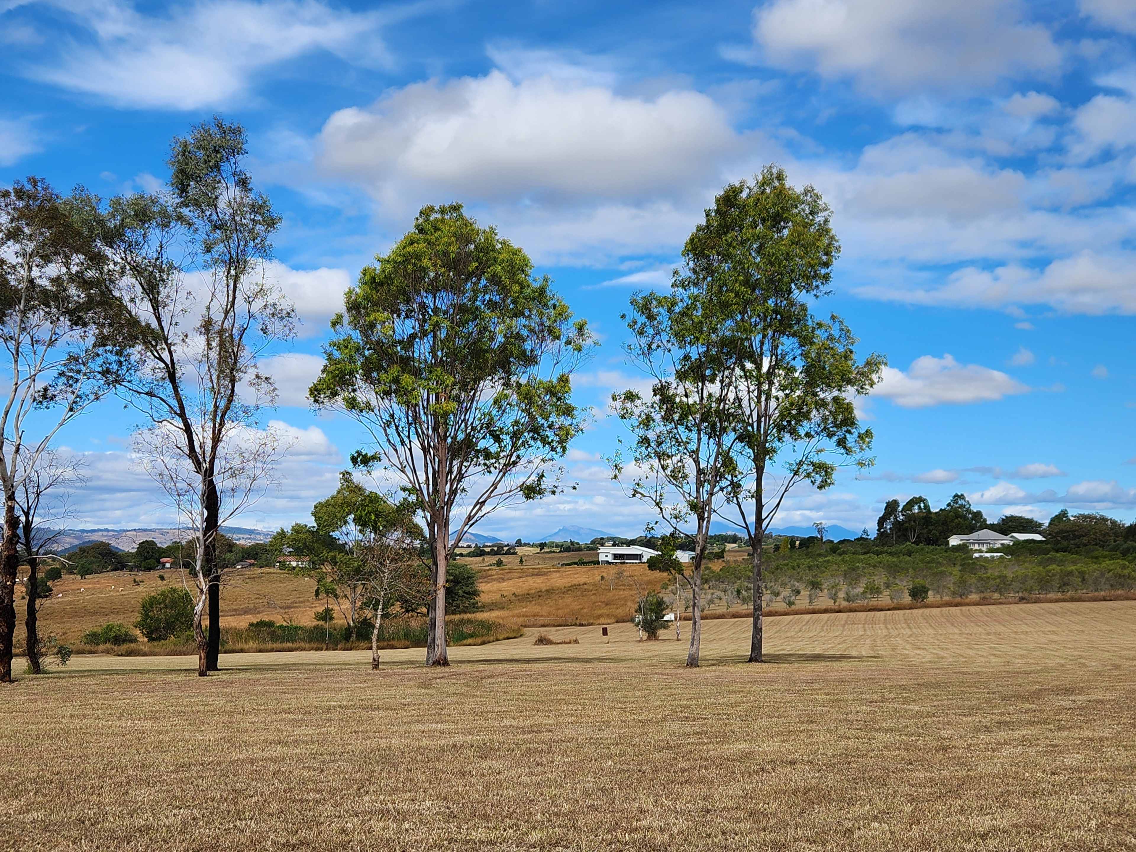 Olive View Estate - Stunning Views!