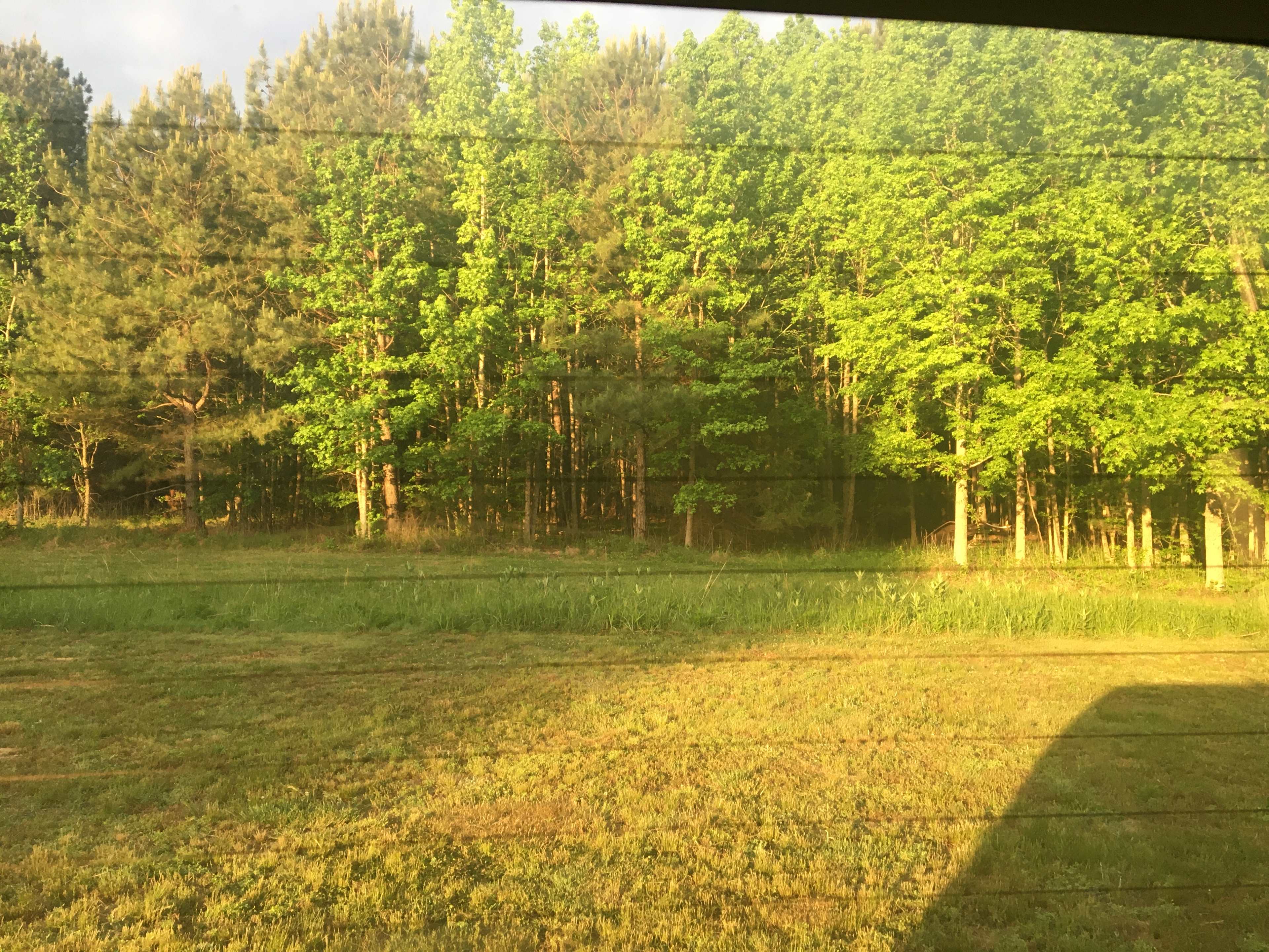 Great view waking up! So peaceful!! 