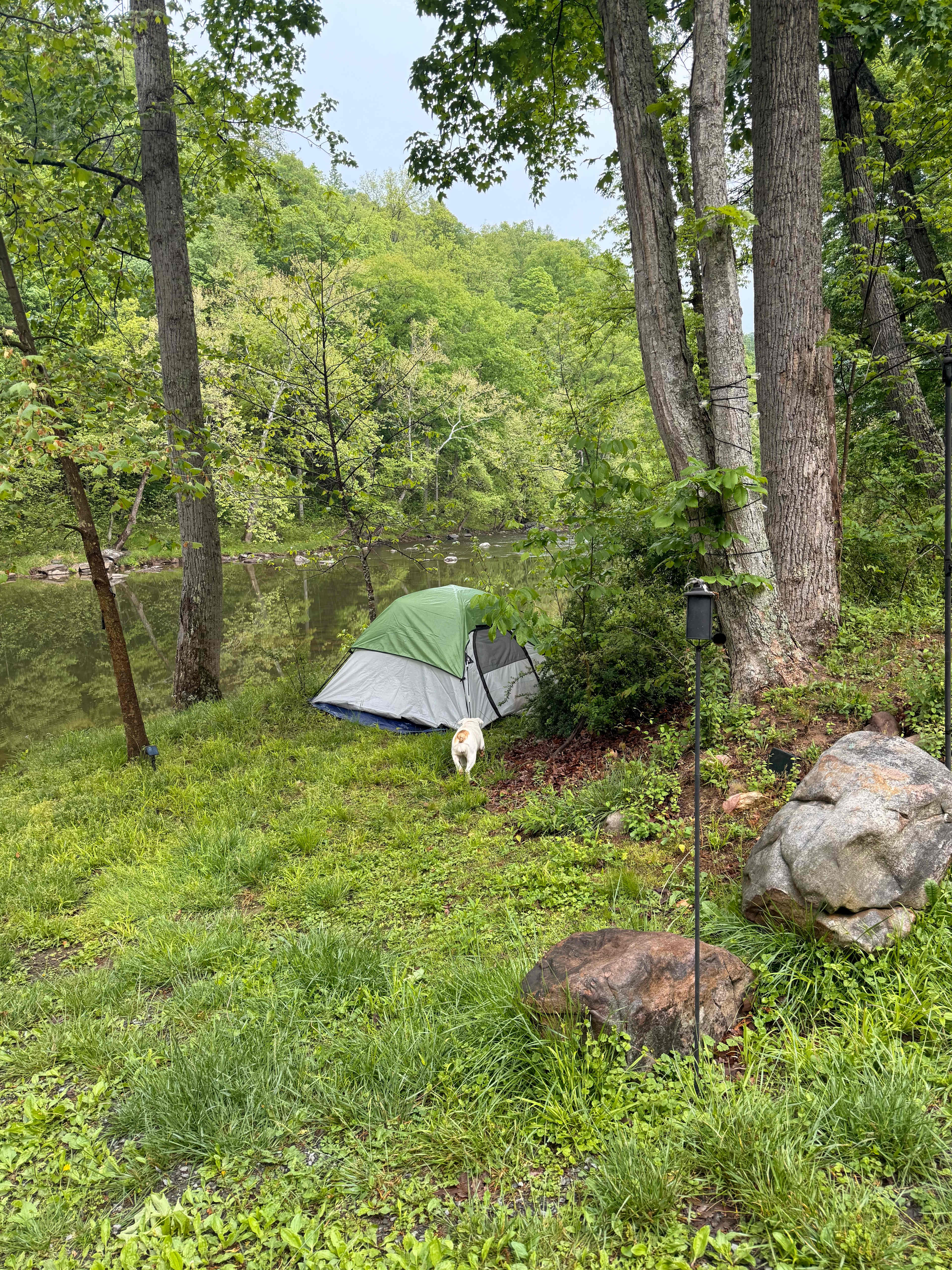 Another tent area