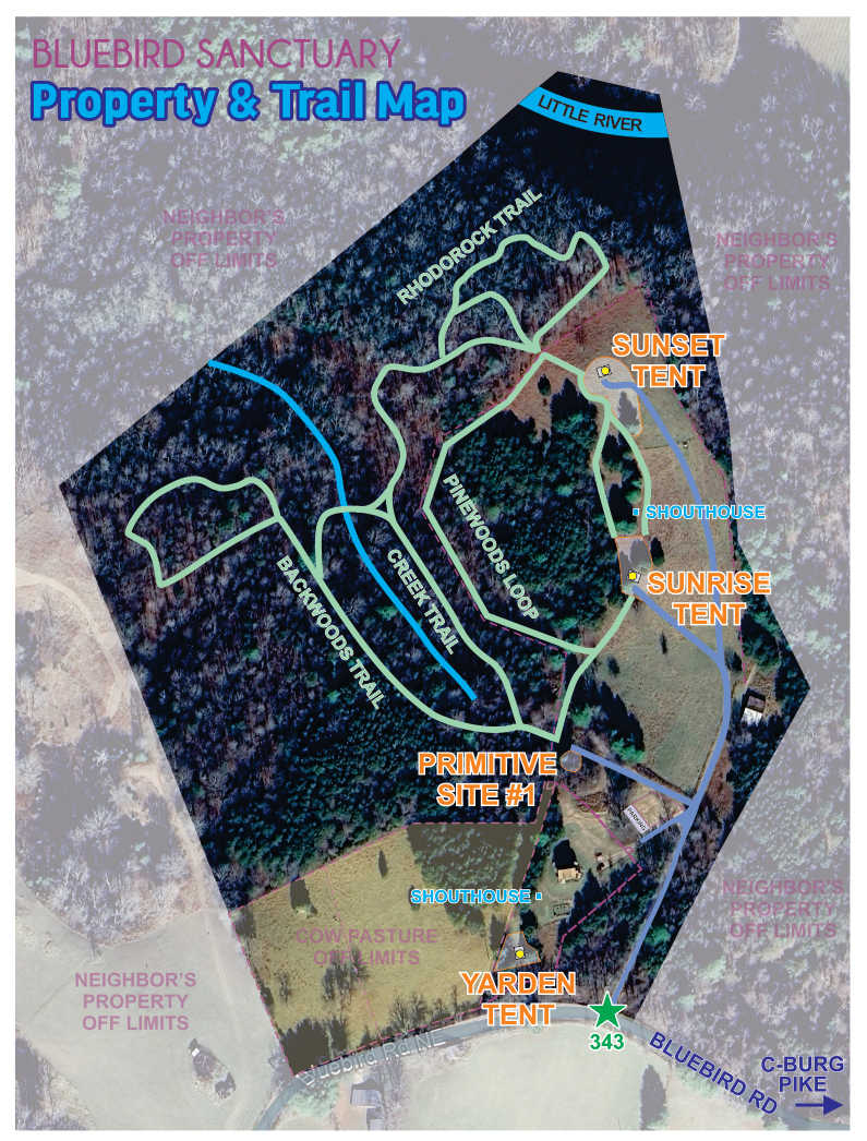 Picture of the site