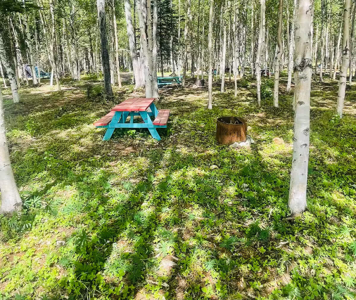 Picture of the site