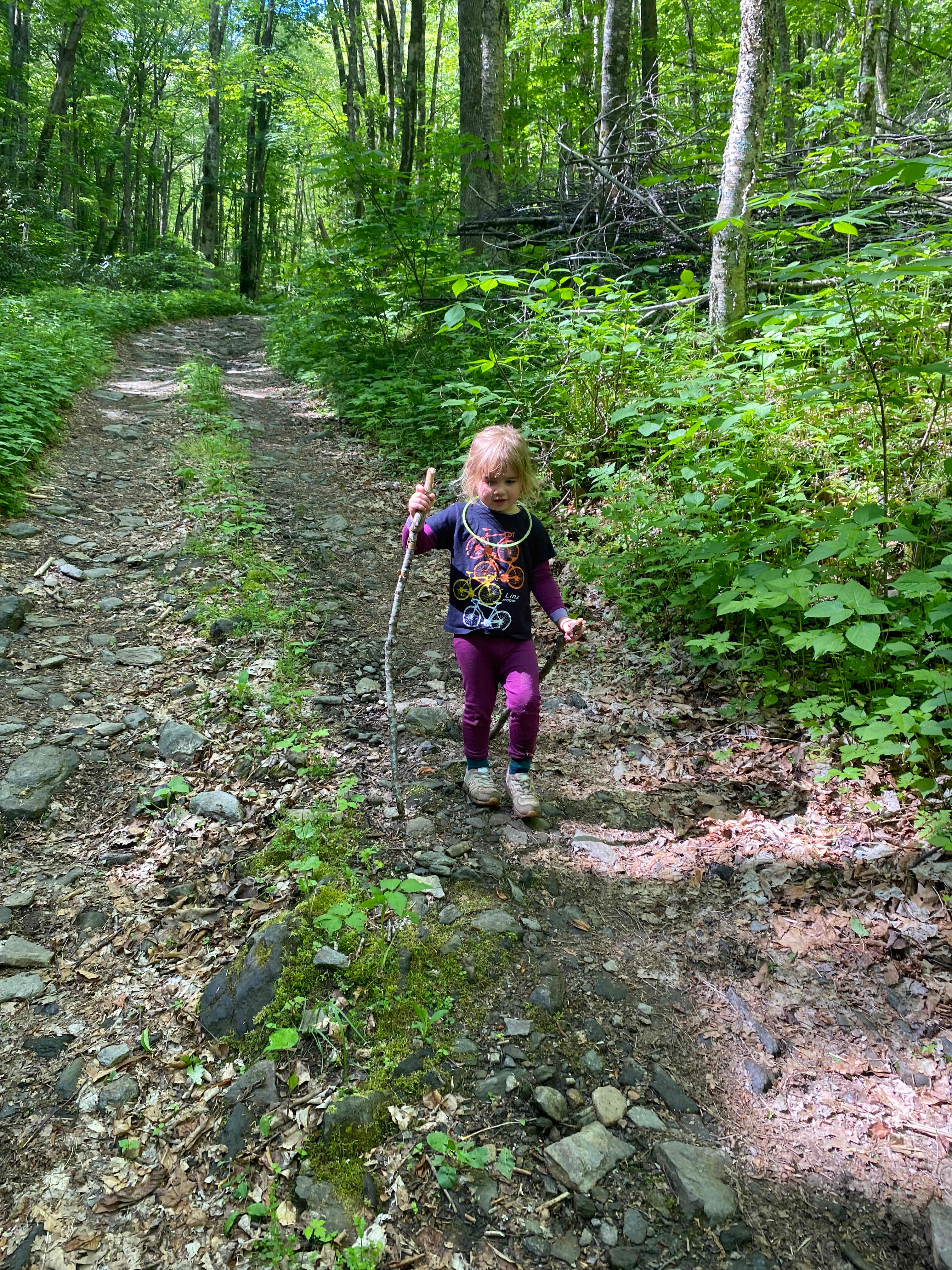 Hike in trail