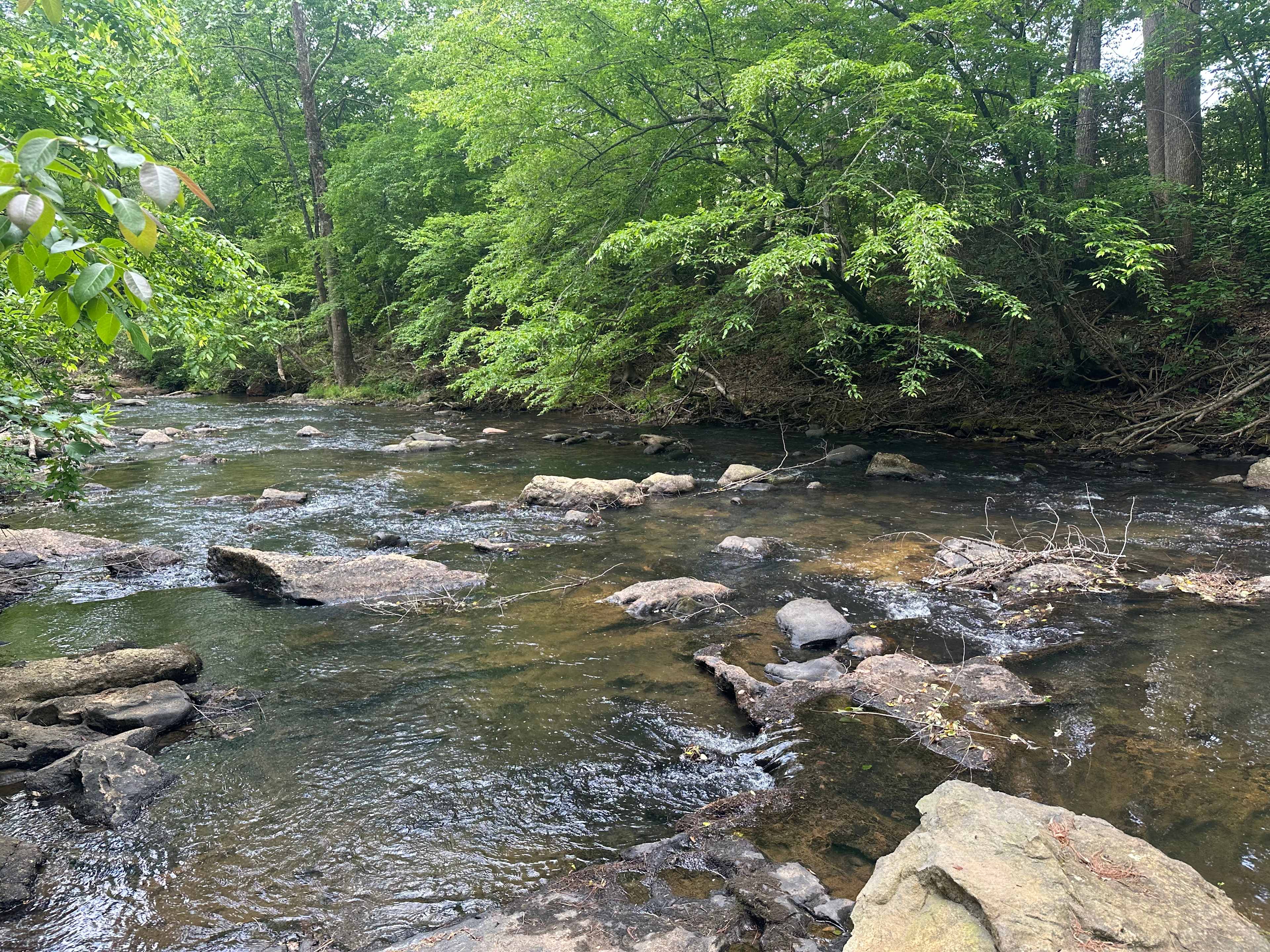 The River-Monthly and daily Sites