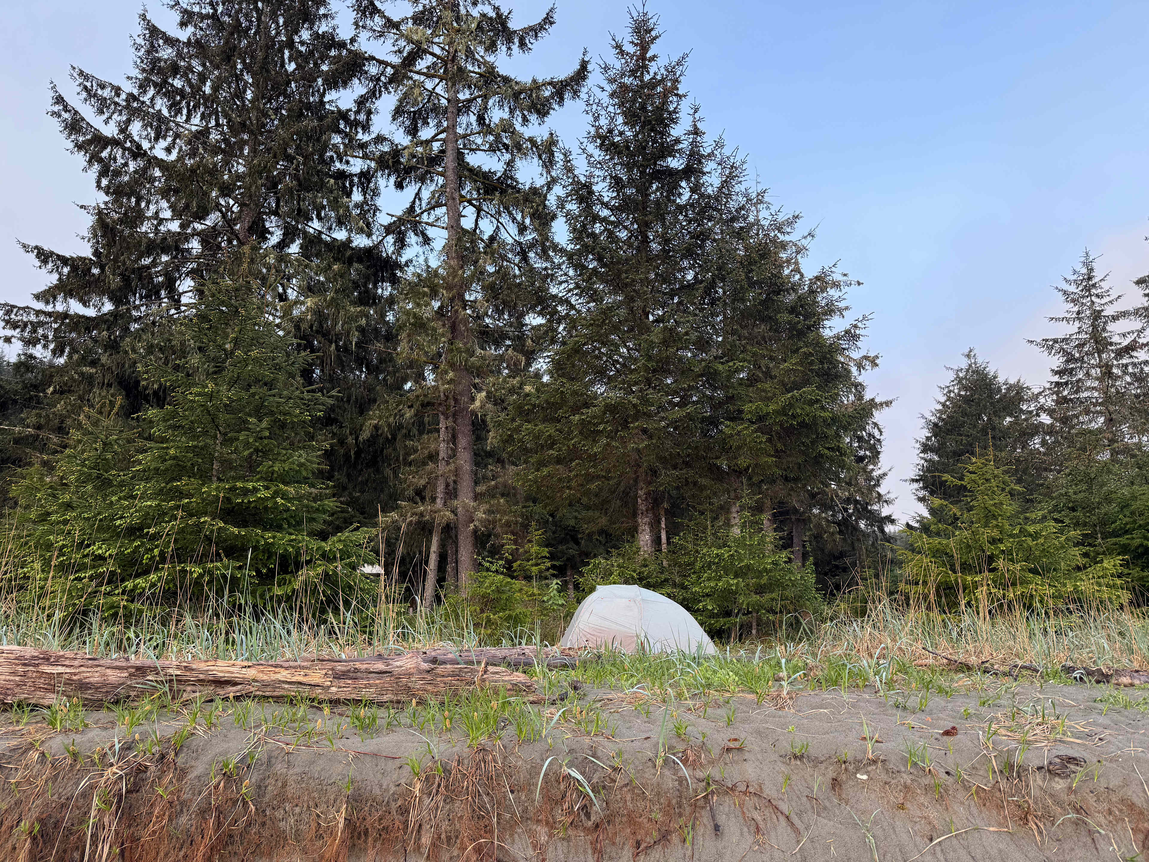Eagle's Nest BNB