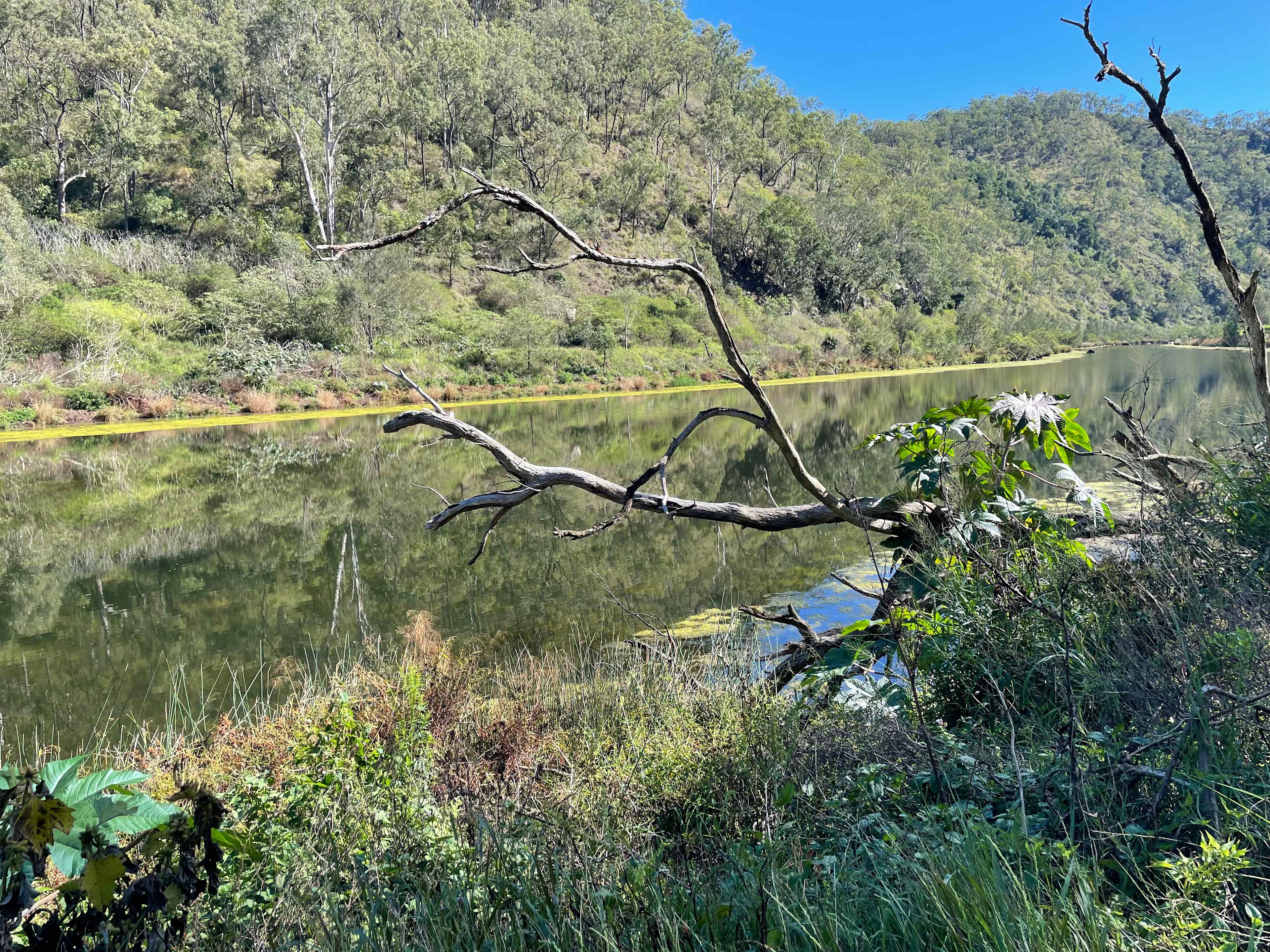 Clarence River Wilderness Lodge