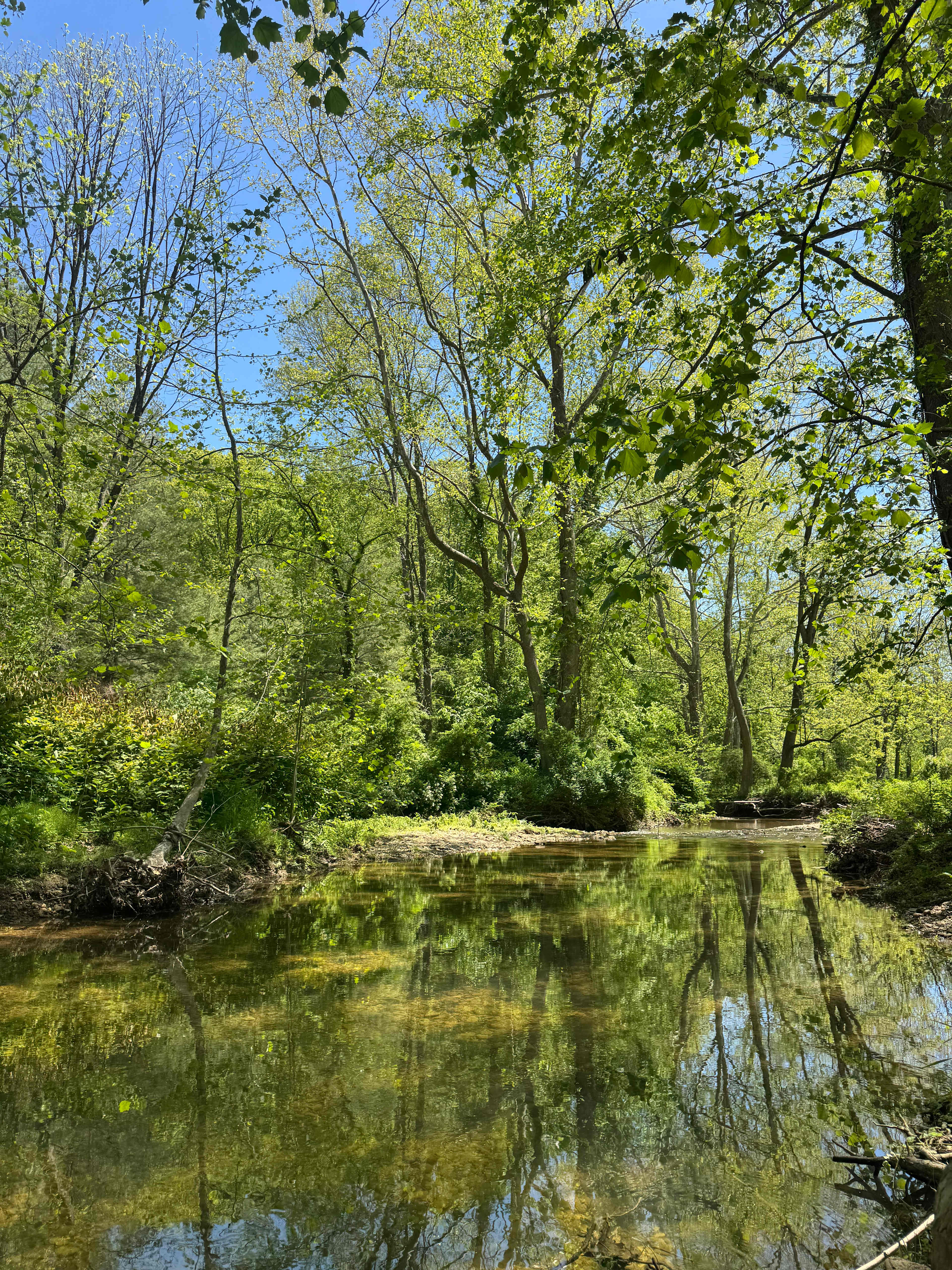 Creek View 3