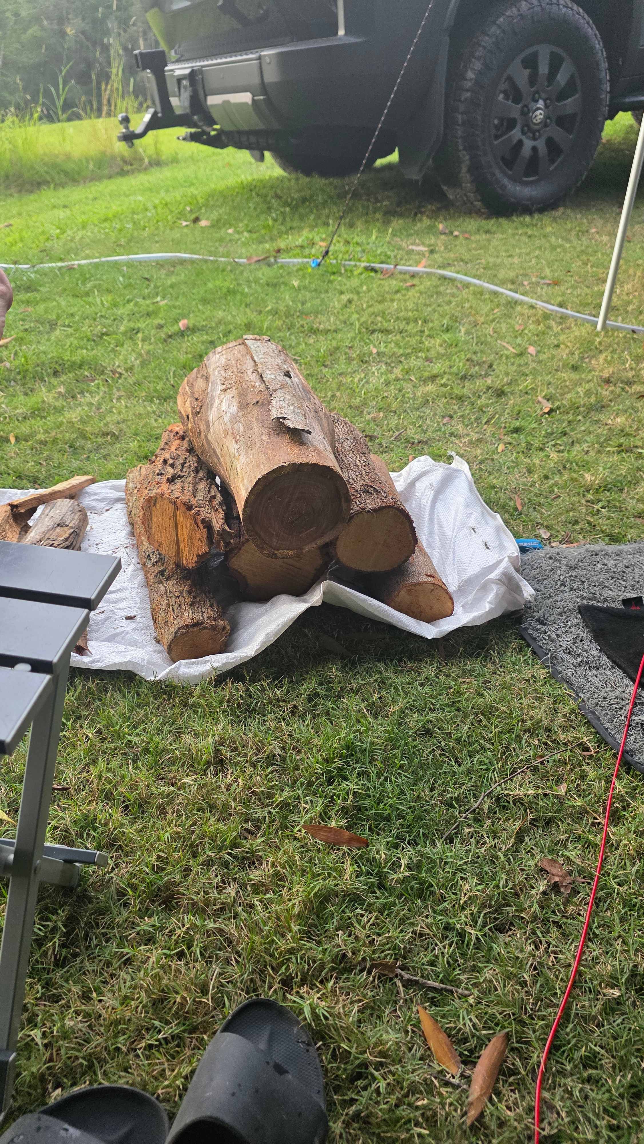 Complimentary firewood delivered to my site by host
