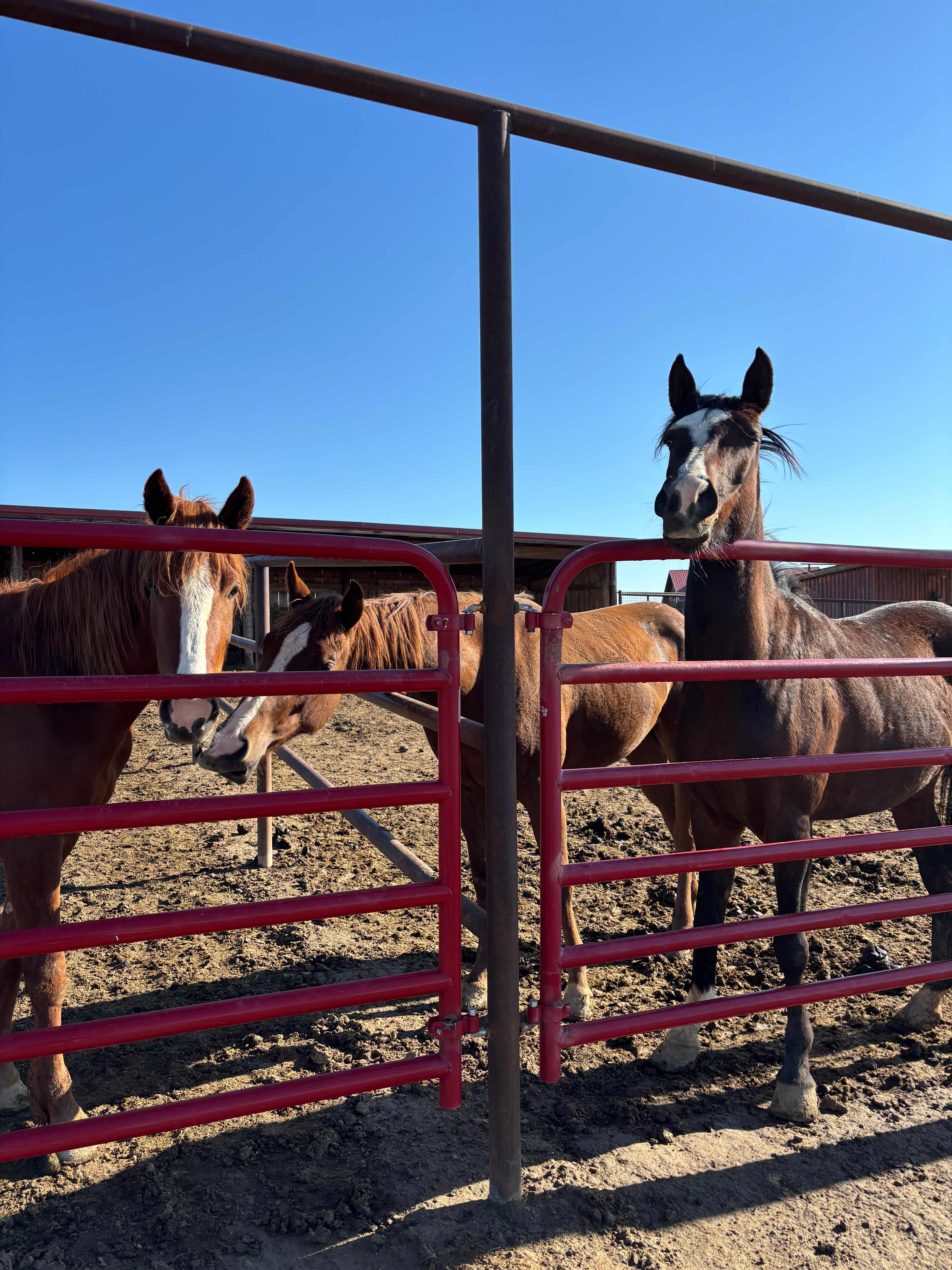 Silent "P" Ranch