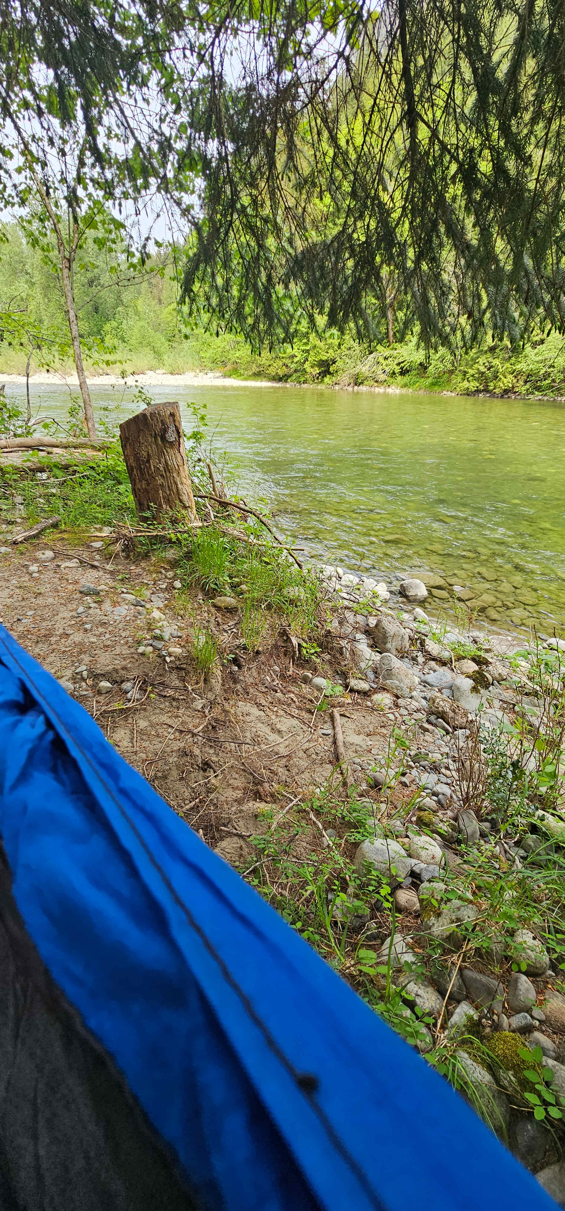 Perfect for hammocks by the river!