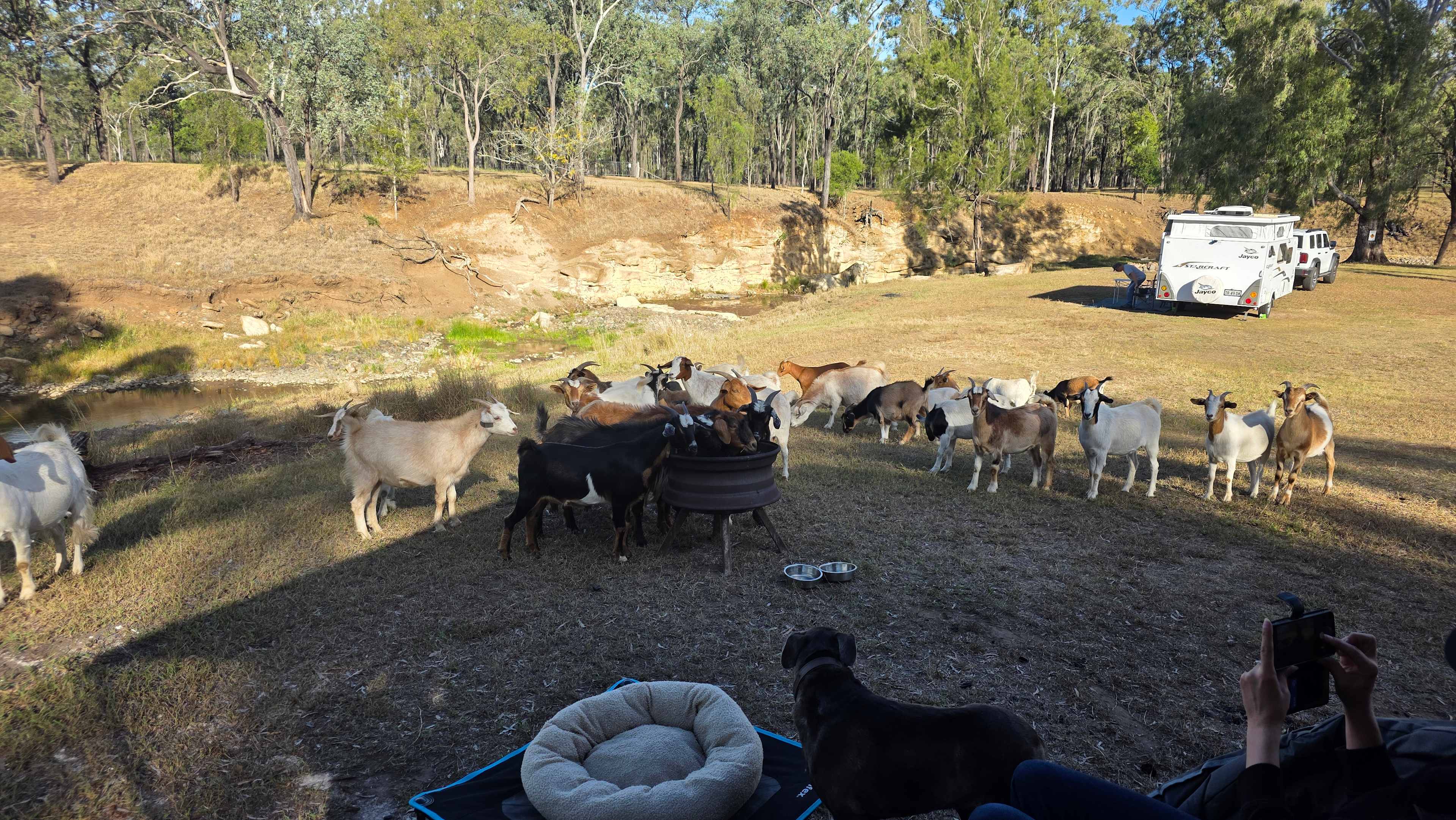 Rocky Creek Homestead