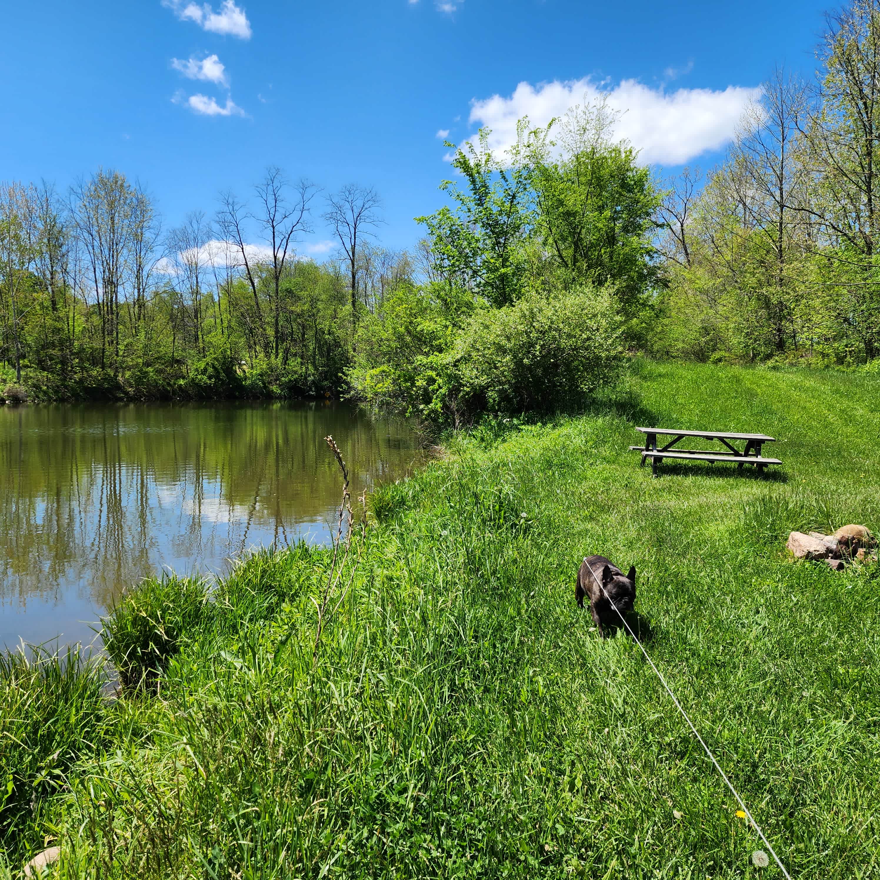 The Pleasant Valley Farm