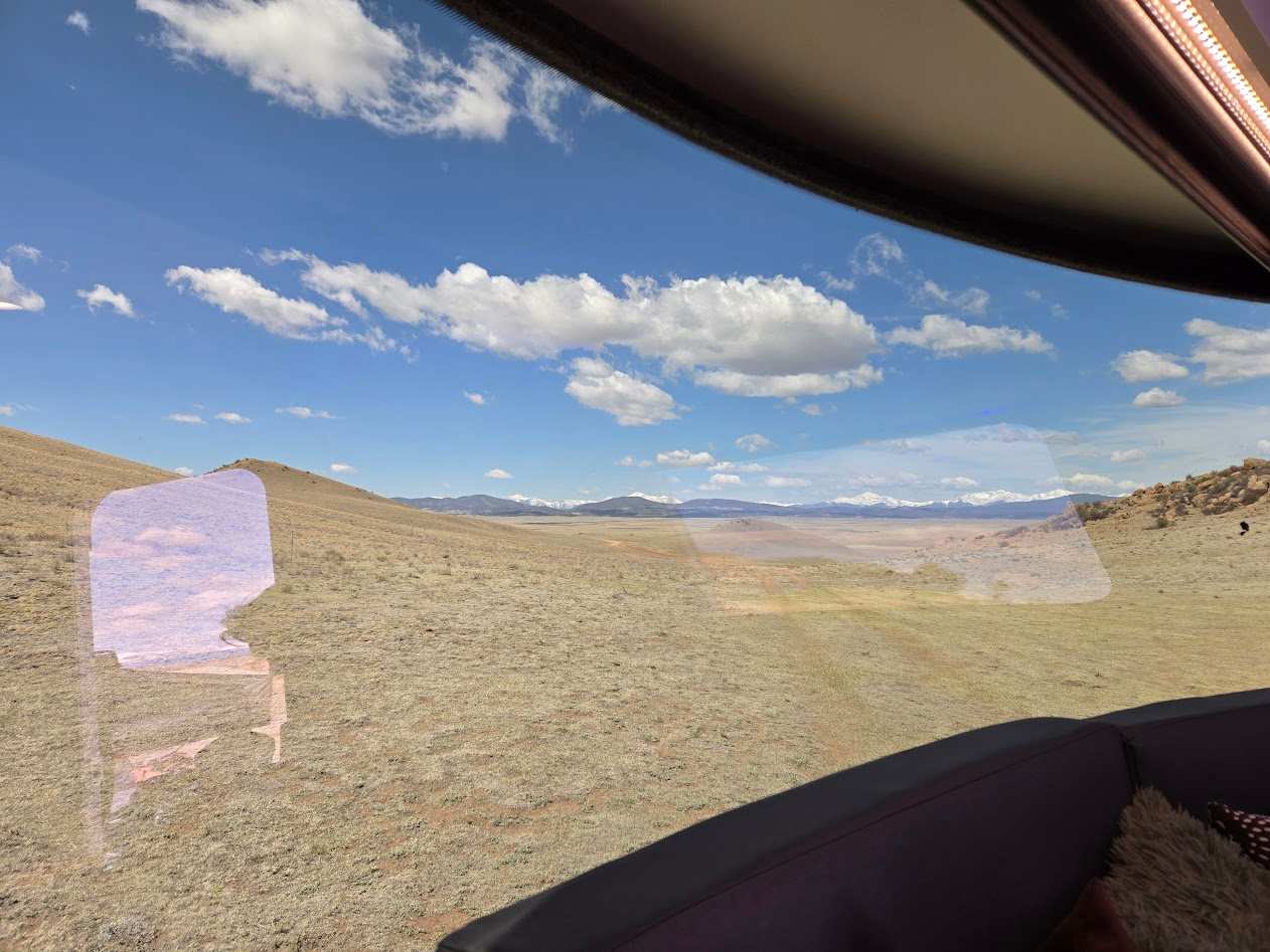 Pronghorn Oasis