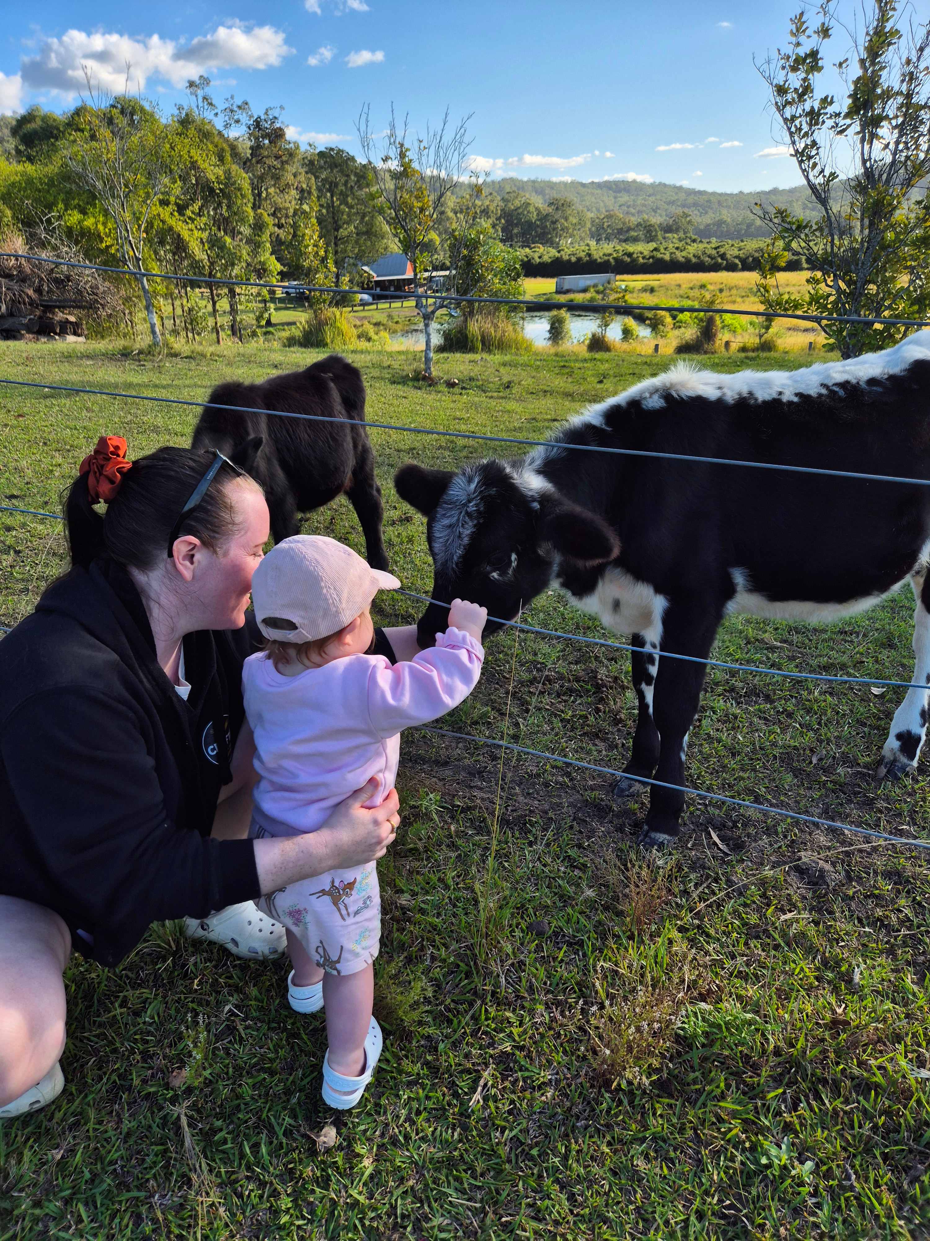 Mororo Hobby Farm