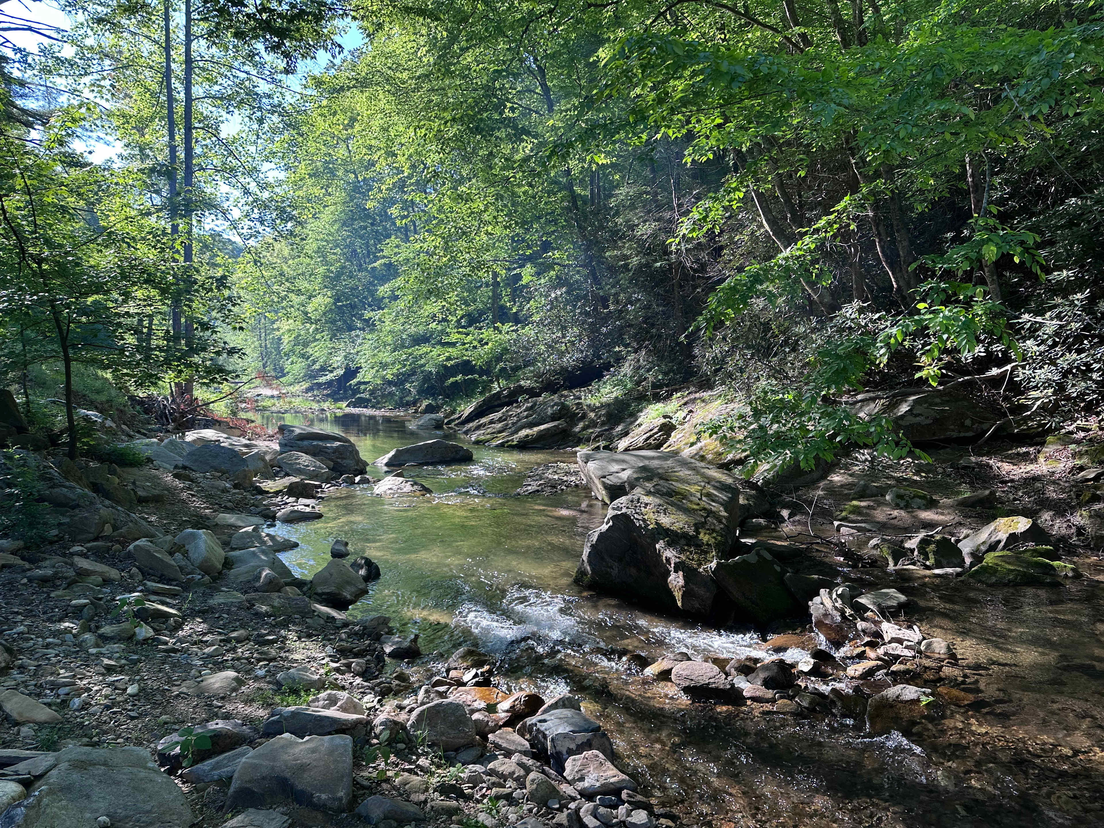 joyville, camping site on elk creek
